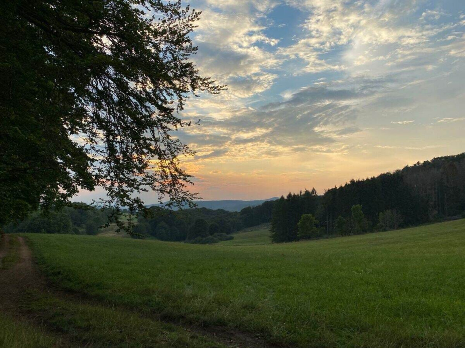 Modern appartement met binnenzwembad en panoramisch uitzicht in Bad Lauterberg - foto 21