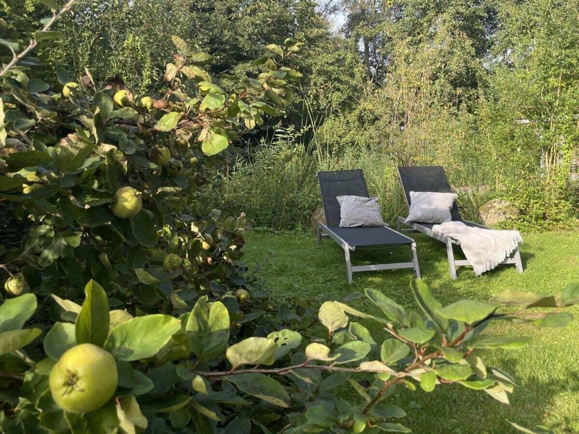 Knus vakantiehuis aan het meer in Hemmoor voor 4 personen - foto 9