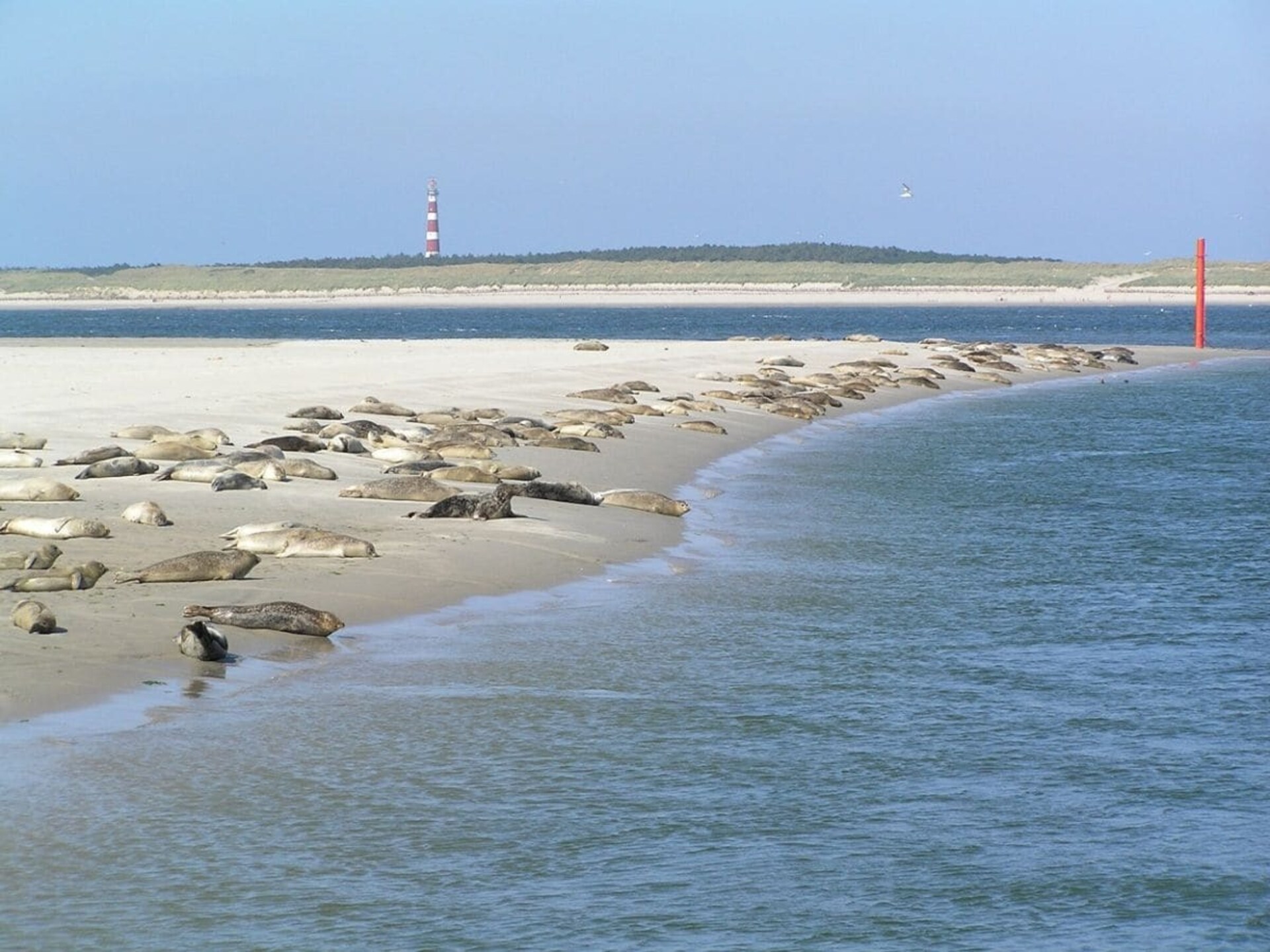 Luxe Duinhuis op Ameland – 4 personen, 122 m², vlakbij strand en Ballum - foto 13