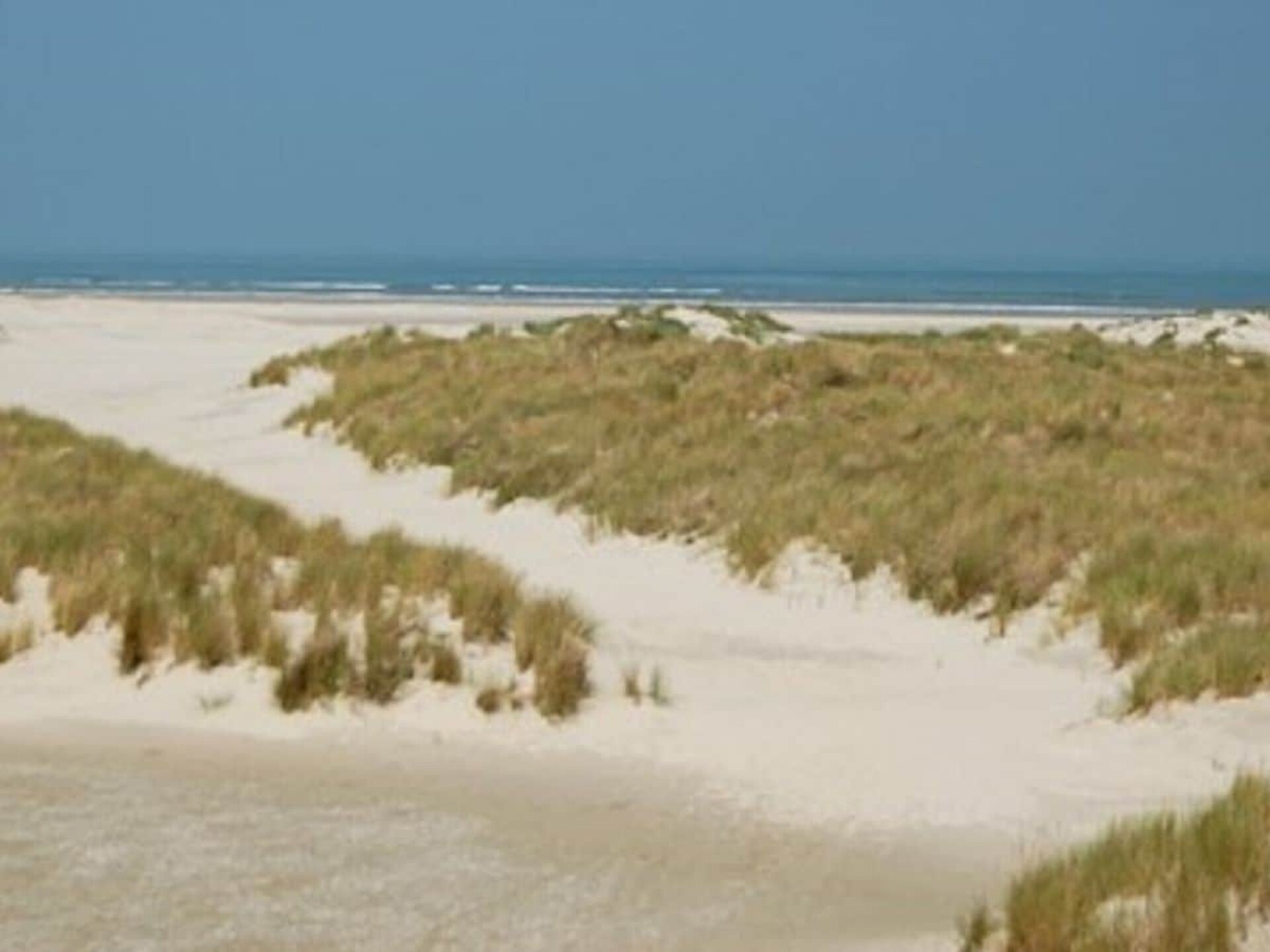 Luxe Duinhuis op Ameland – 4 personen, 122 m², vlakbij strand en Ballum - foto 14