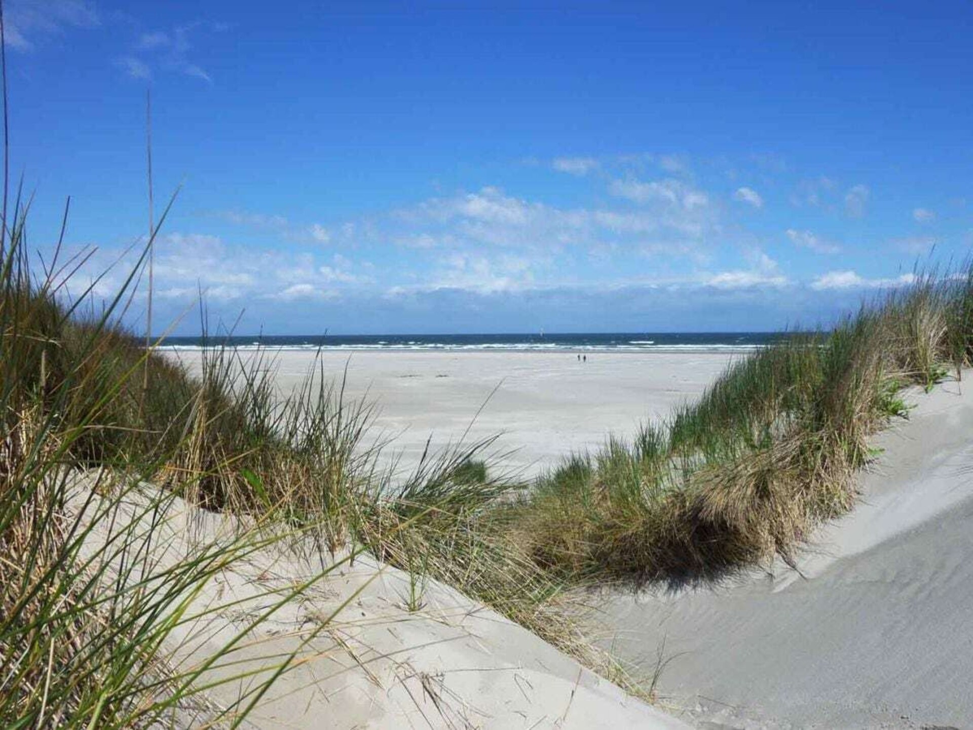 Ruim vakantiehuis in duingebied Ballum, 8 pers., strand op 600m - foto 13