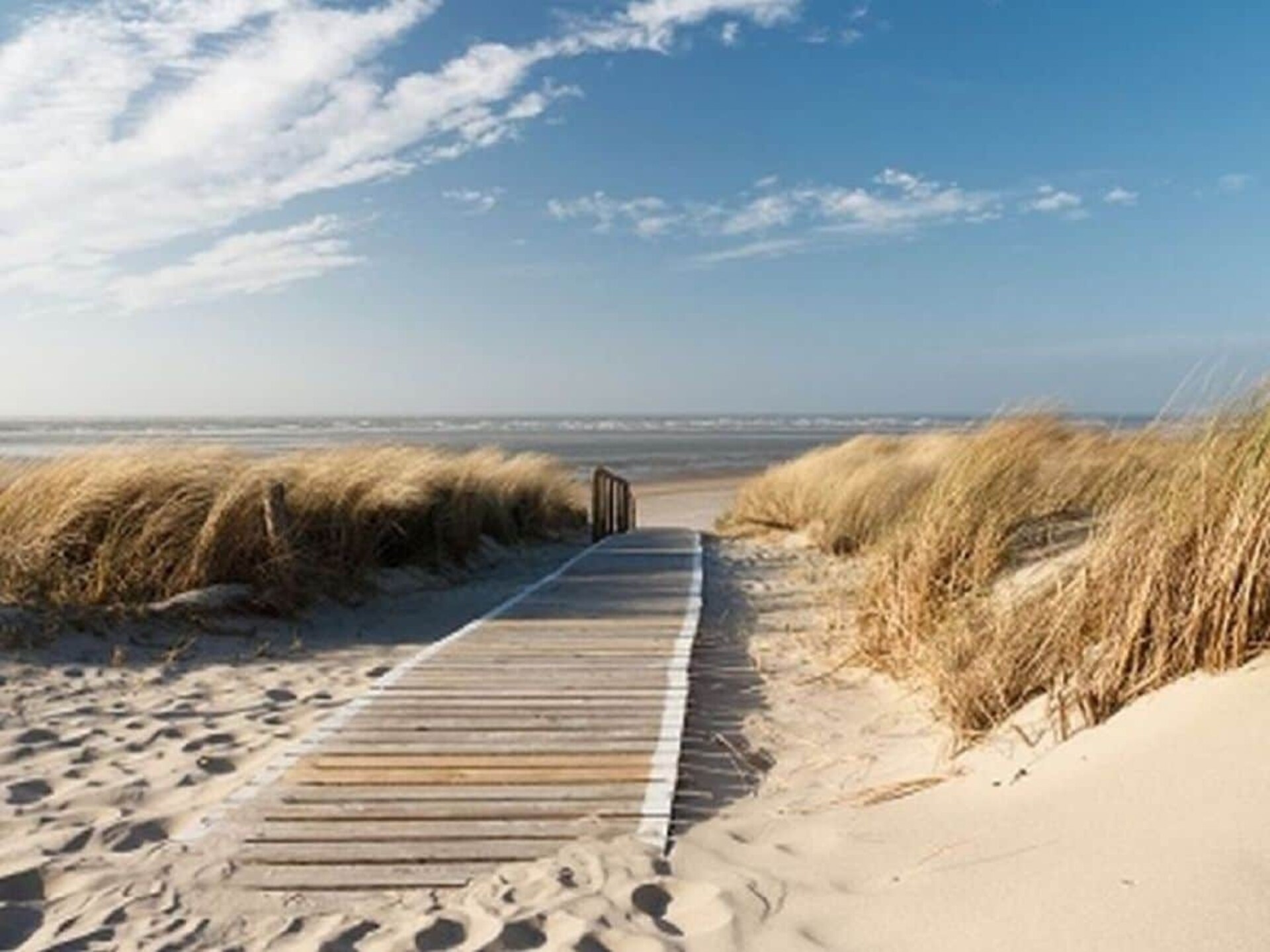 6-persoons vakantiehuis in De Koog met moderne inrichting - foto 18