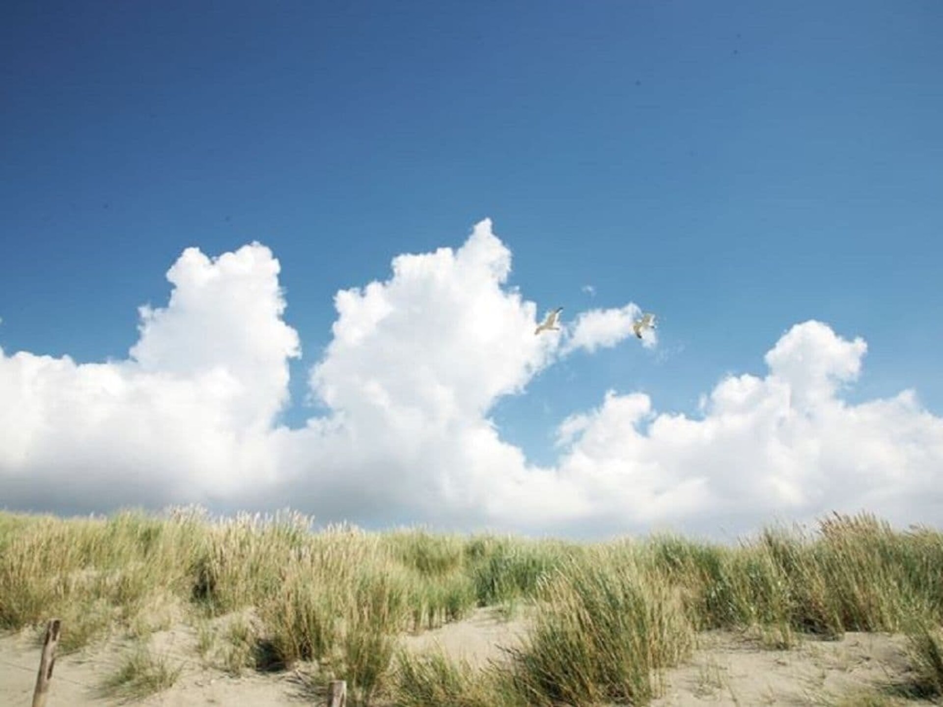 Sfeervolle villa voor 6 aan het water bij de duinen van Den Helder - foto 15