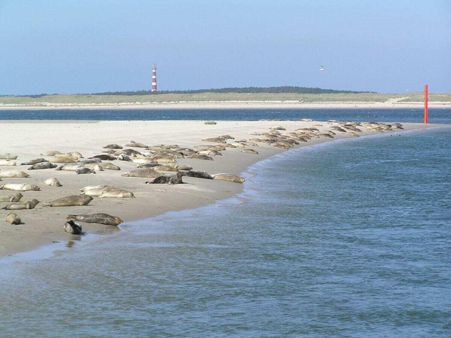 Luxe strandhuis Ballum: architectonisch vakantieparel op Ameland - foto 11