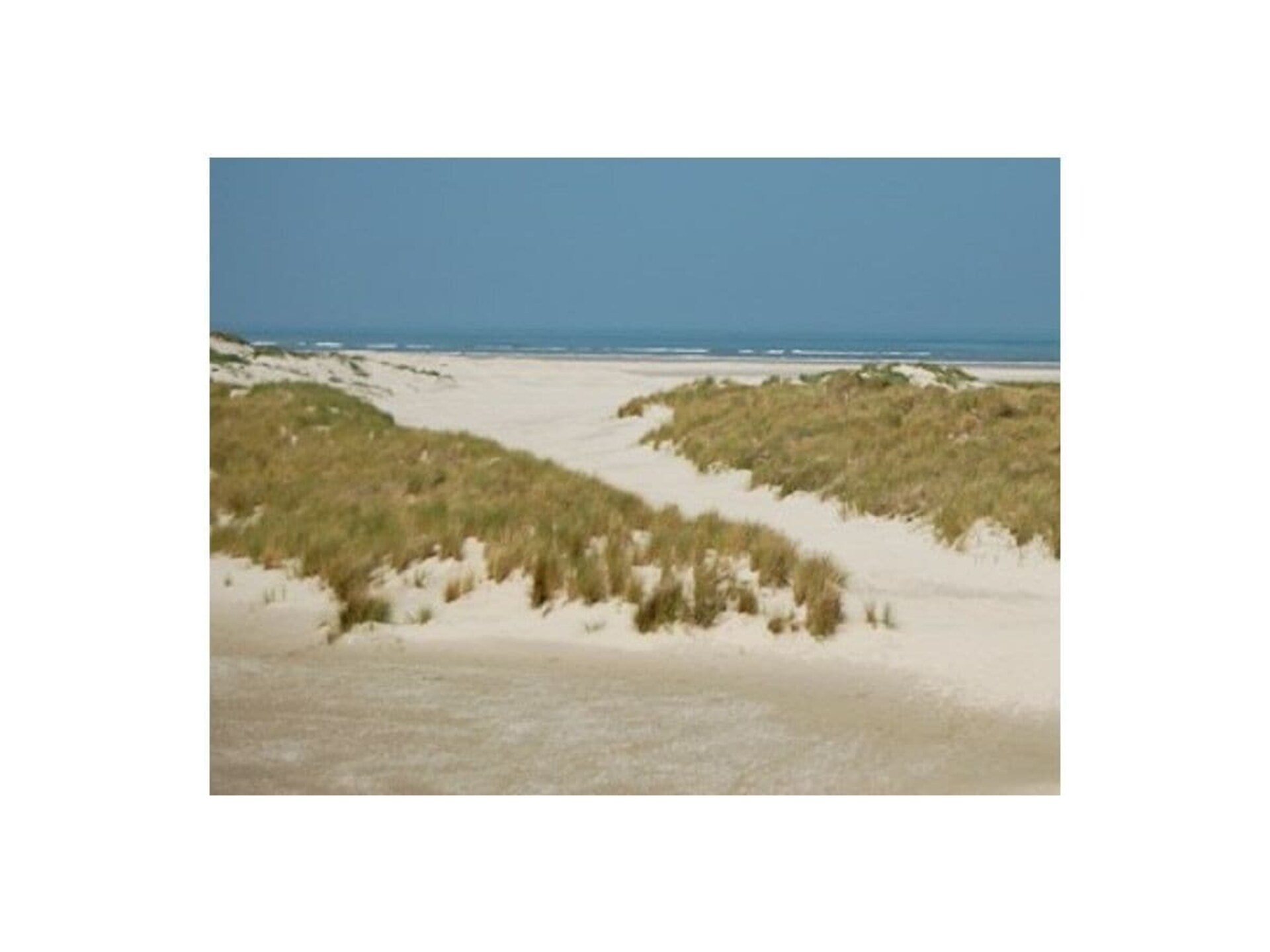 Luxe strandhuis Ballum: architectonisch vakantieparel op Ameland - foto 12