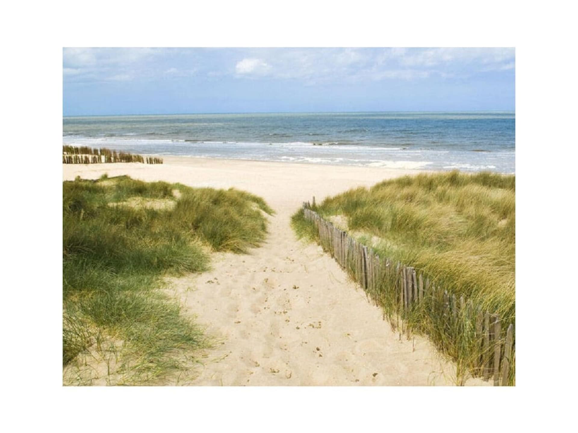 Modern vakantiehuis voor 6 in de duinen van De Koog - foto 15