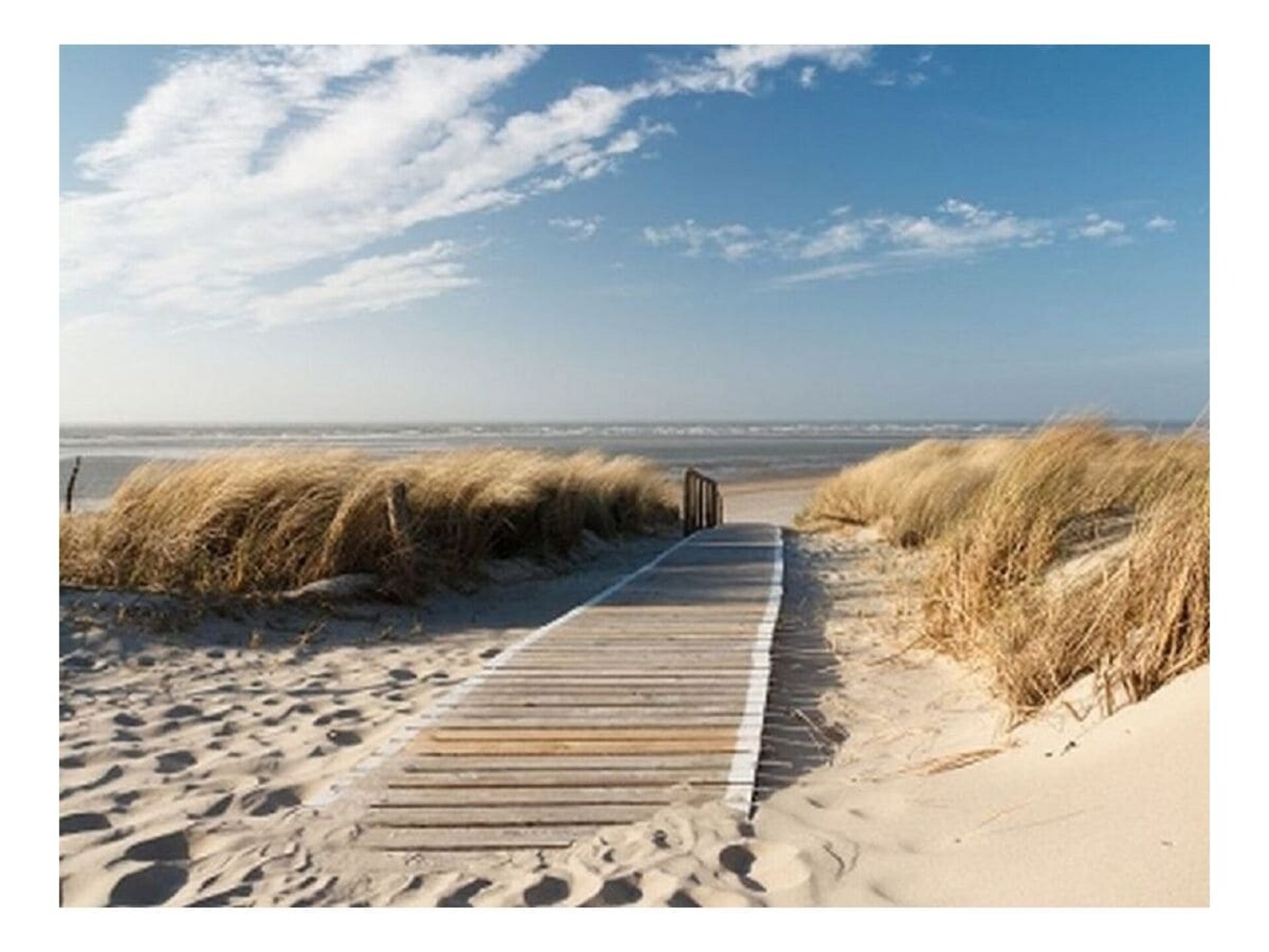 Modern vakantiehuis voor 6 in de duinen van De Koog - foto 16
