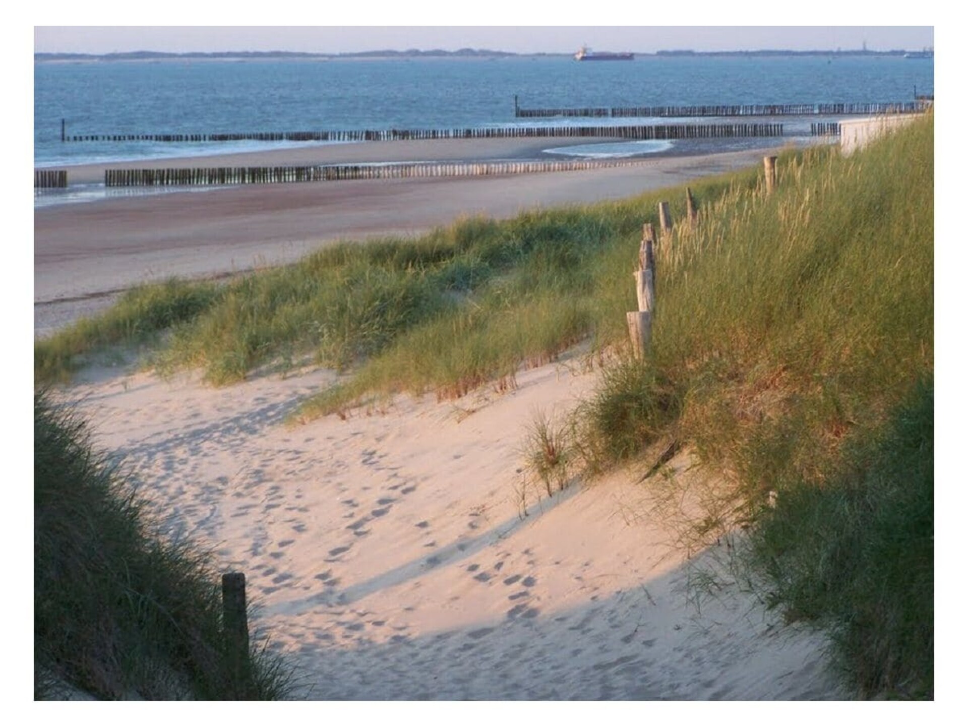 Op 1,0 km van centrum: ruim vakantiehuis in Nieuwvliet Bad voor 16 personen - foto 15