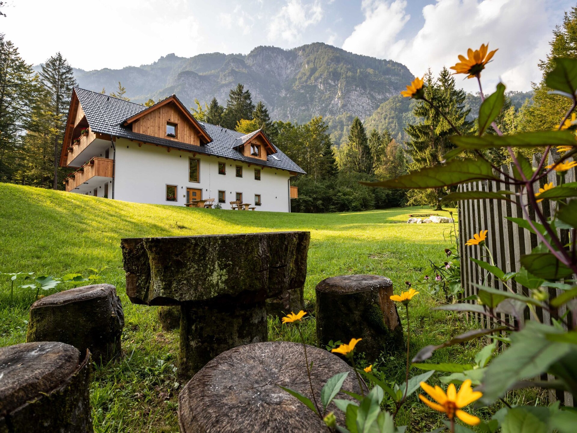 The Woodland Nook Apartments Bohinj - Eenpersoonsappartement met Balkon - foto 21