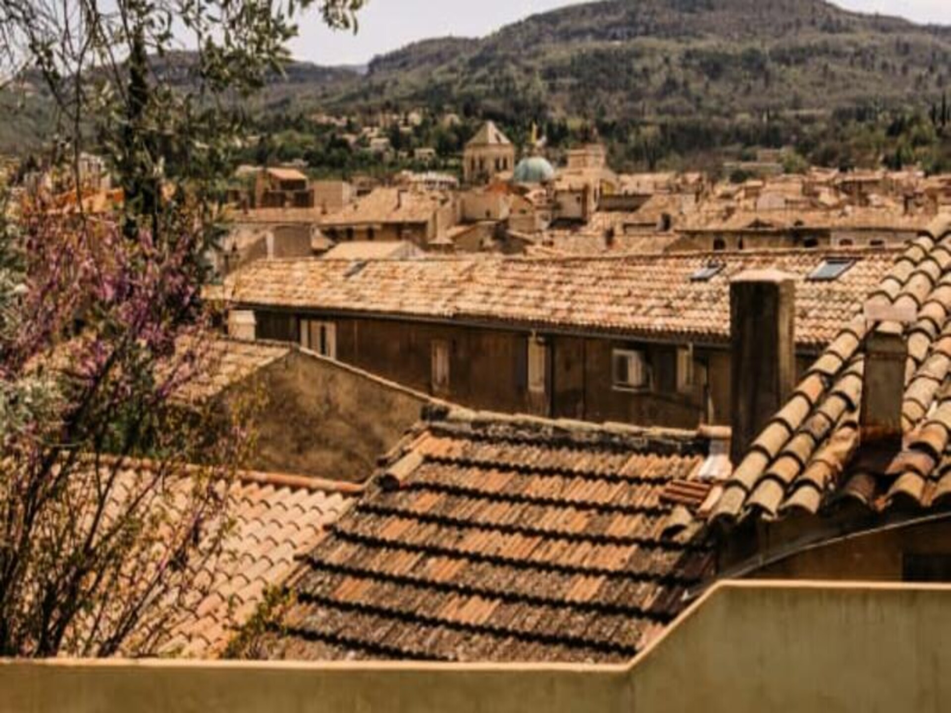 Authentiek Provençaals herenhuis met privézwembad en uitzicht op de Luberon - foto 32