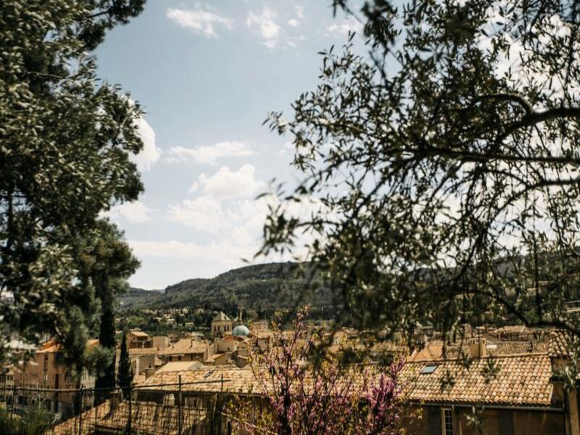 Authentiek Provençaals herenhuis met privézwembad en uitzicht op de Luberon - foto 37