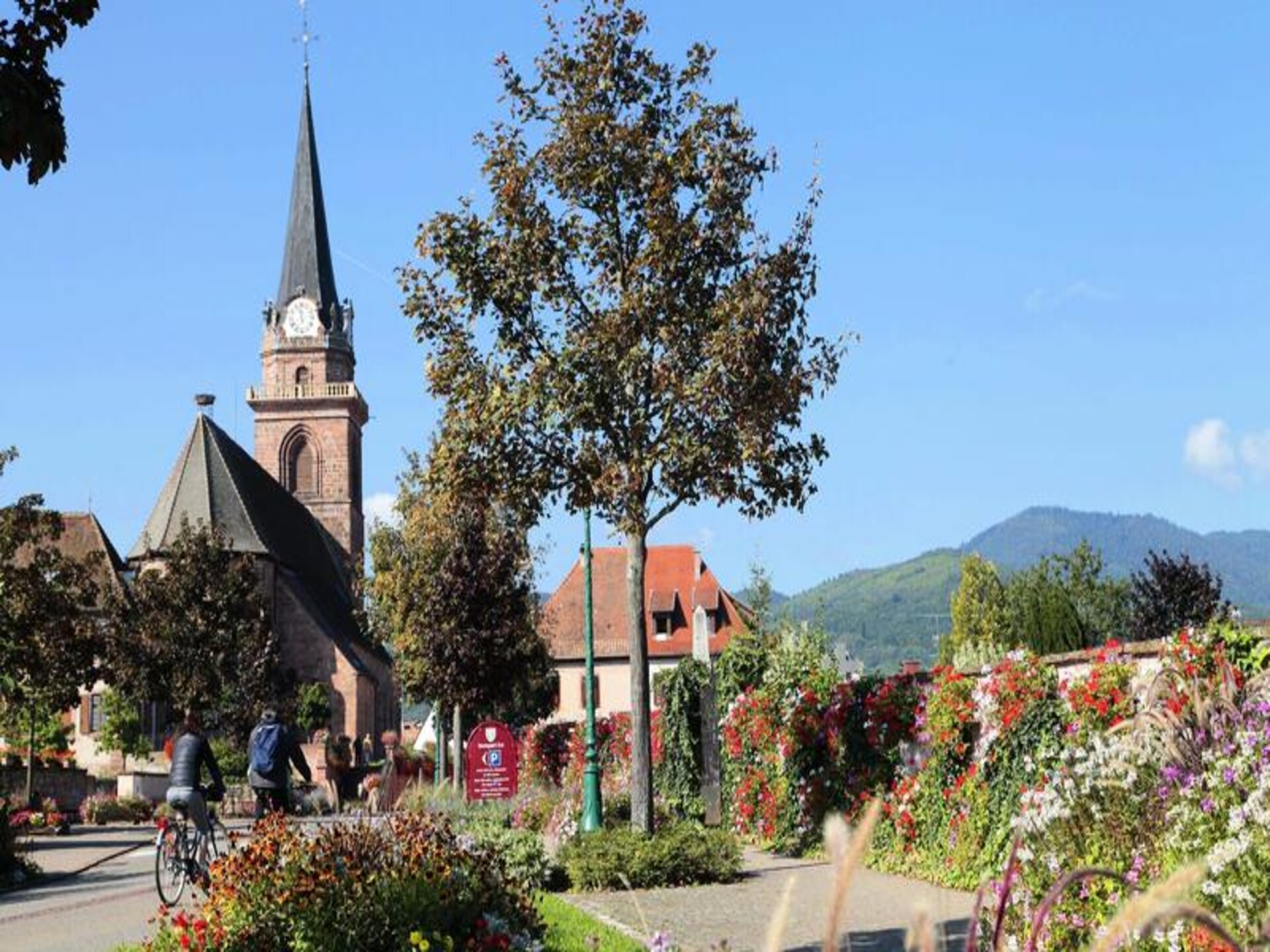 Authentiek verblijf in Bergheim met zwembad, sauna en uitzicht op de Elzas - foto 2