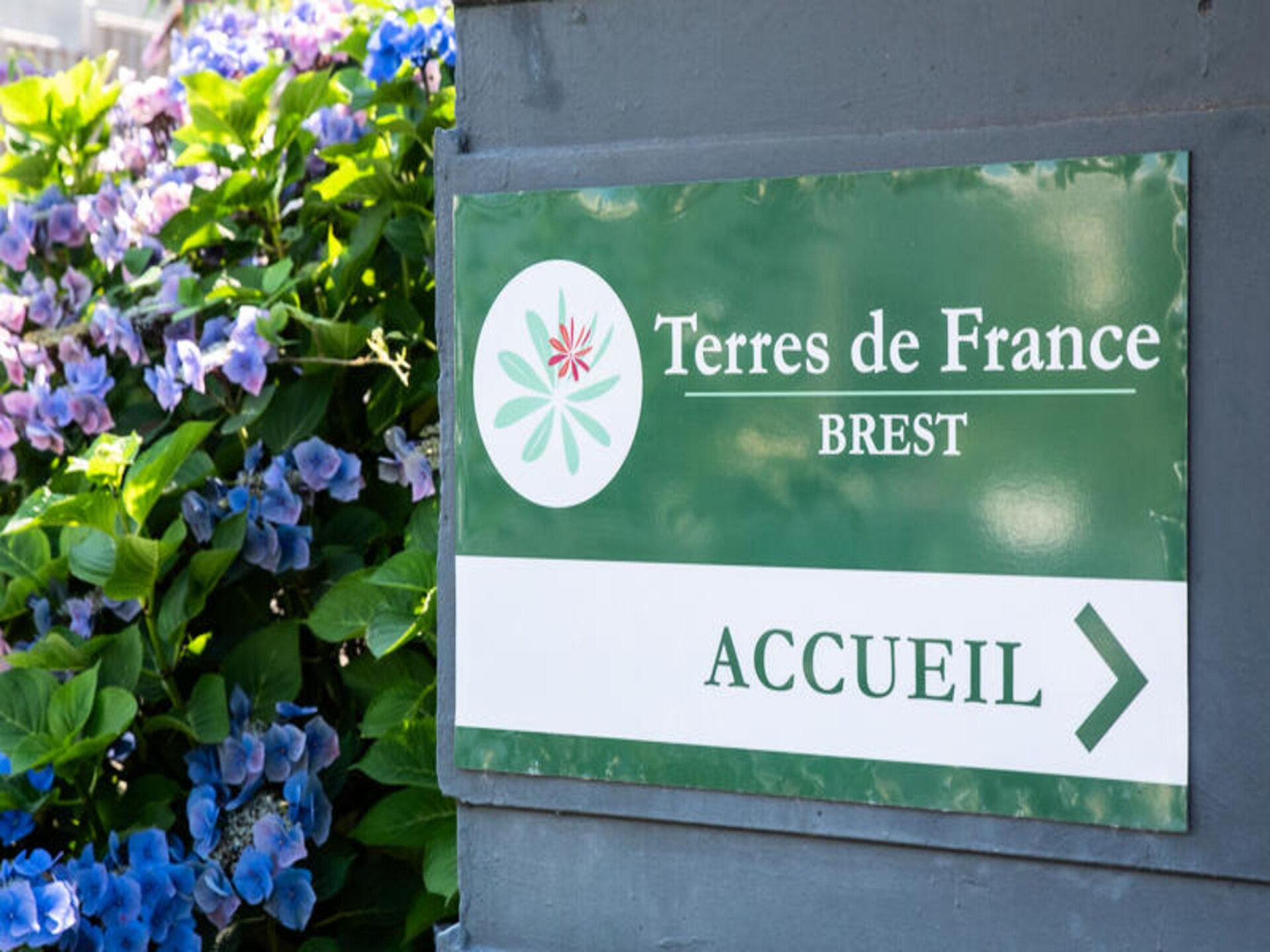 Compact appartement in hartje Brest: ideaal voor stedentrip Bretagne - foto 4