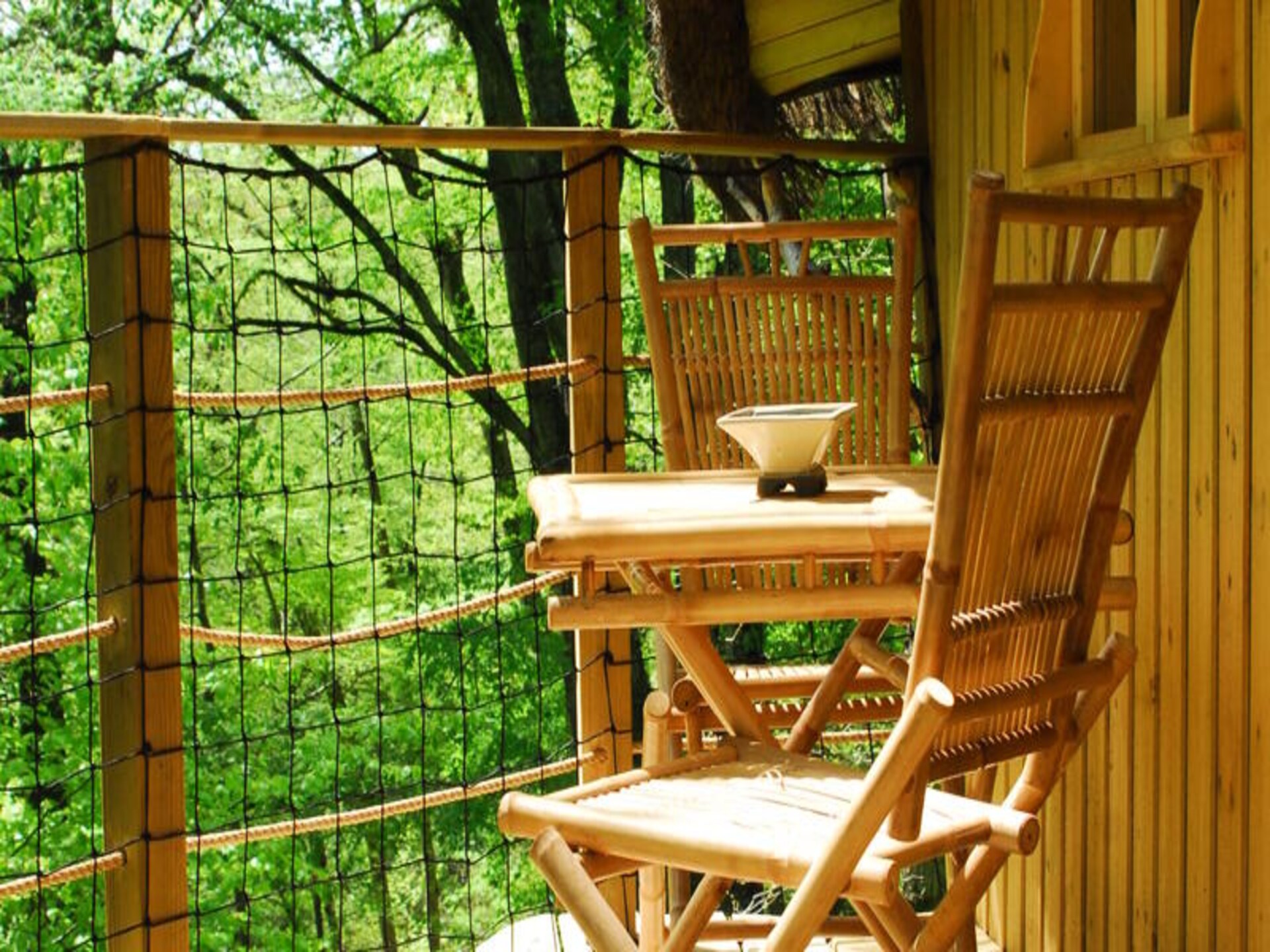 Boomhut in Magné, 14 meter hoog met uitzicht over 12 hectare natuur - foto 12