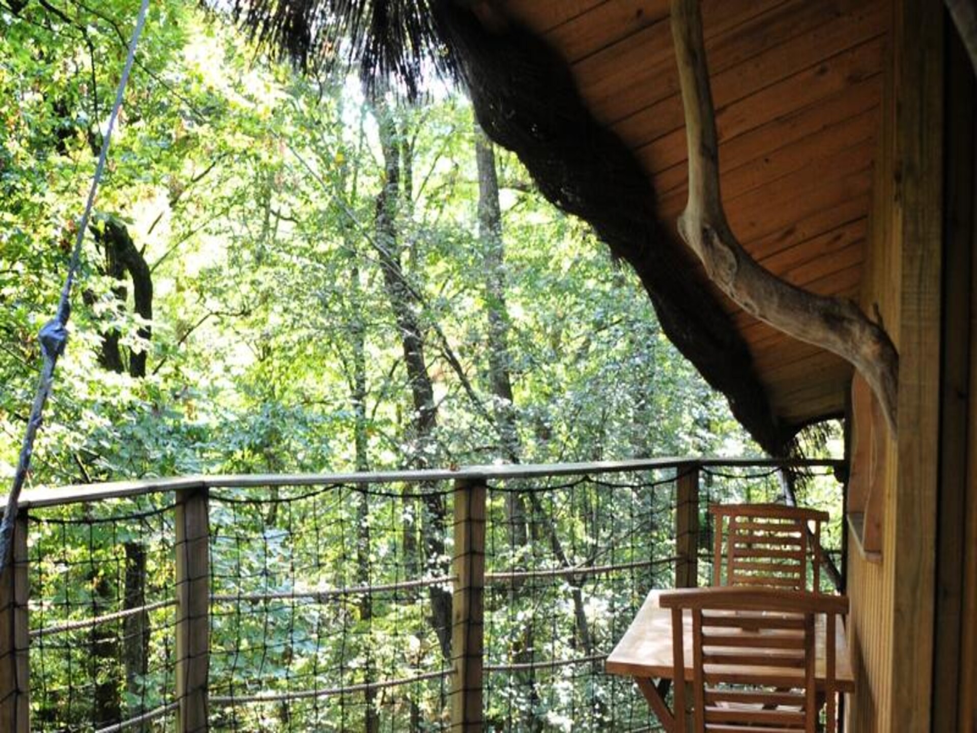 Boomhut in Magné, 14 meter hoog met uitzicht over 12 hectare natuur - foto 18