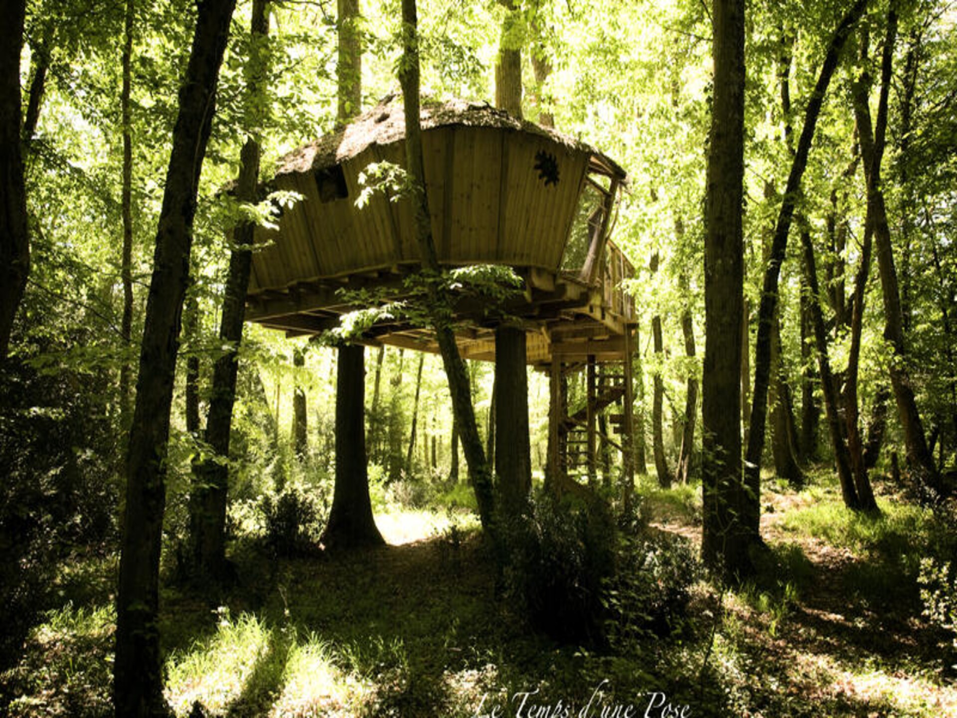Sfeervol appartement in 12 hectare natuur bij Magné - foto 13