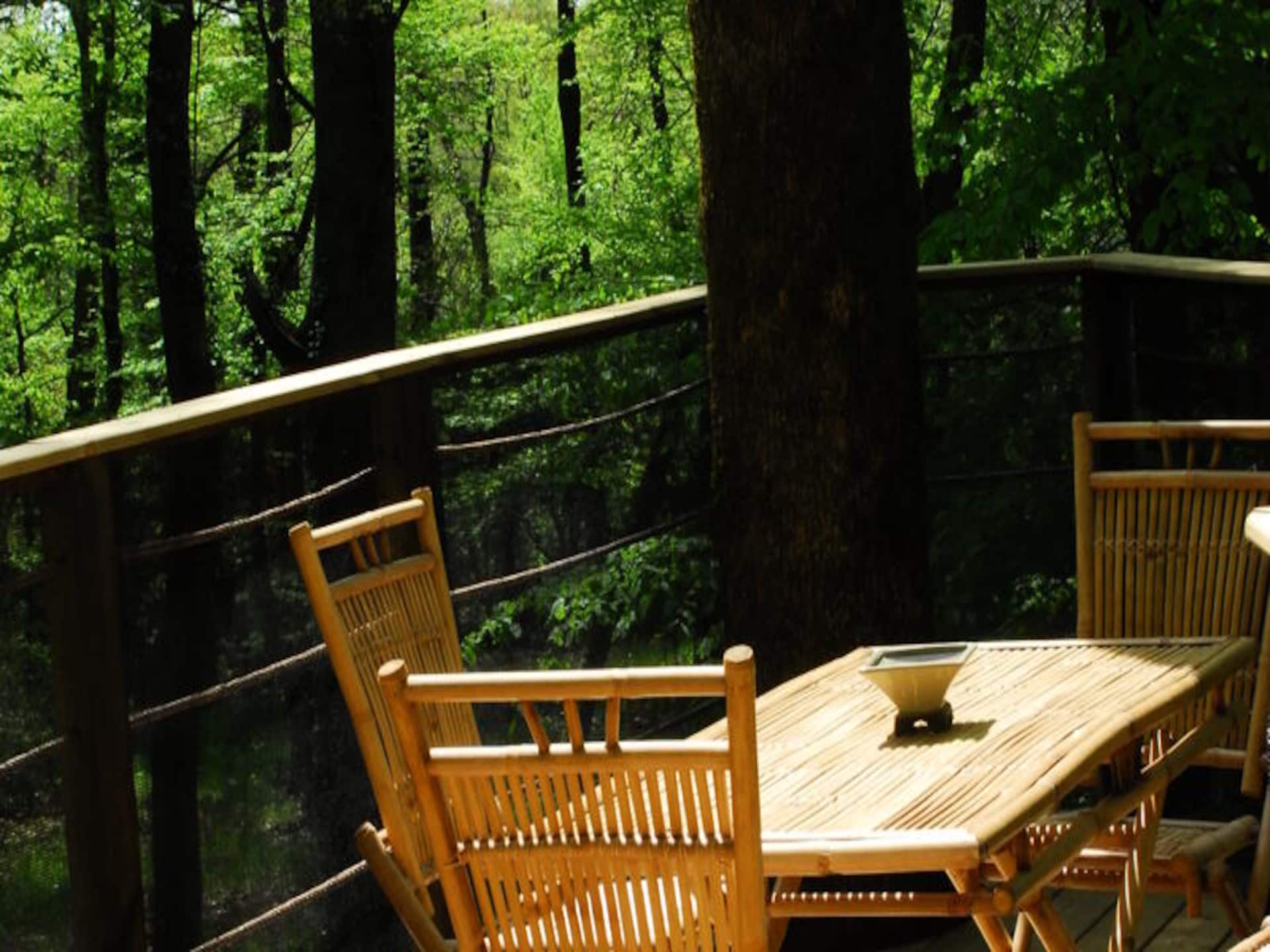 Sfeervol appartement in 12 hectare natuur bij Magné - foto 15