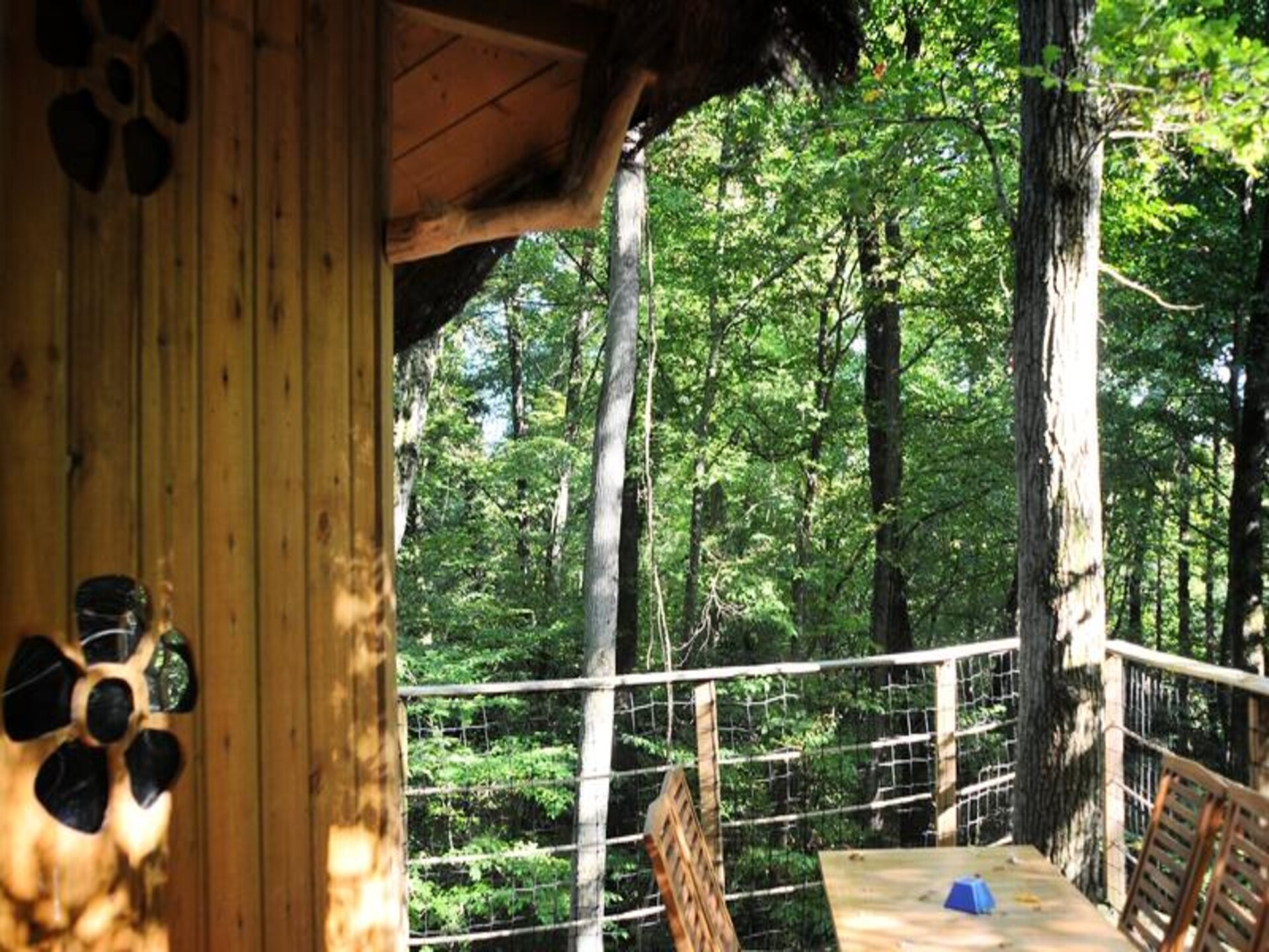 Natuuravontuur in Magné: Appartement op 12-Hectare Domein voor 5 Personen - foto 13