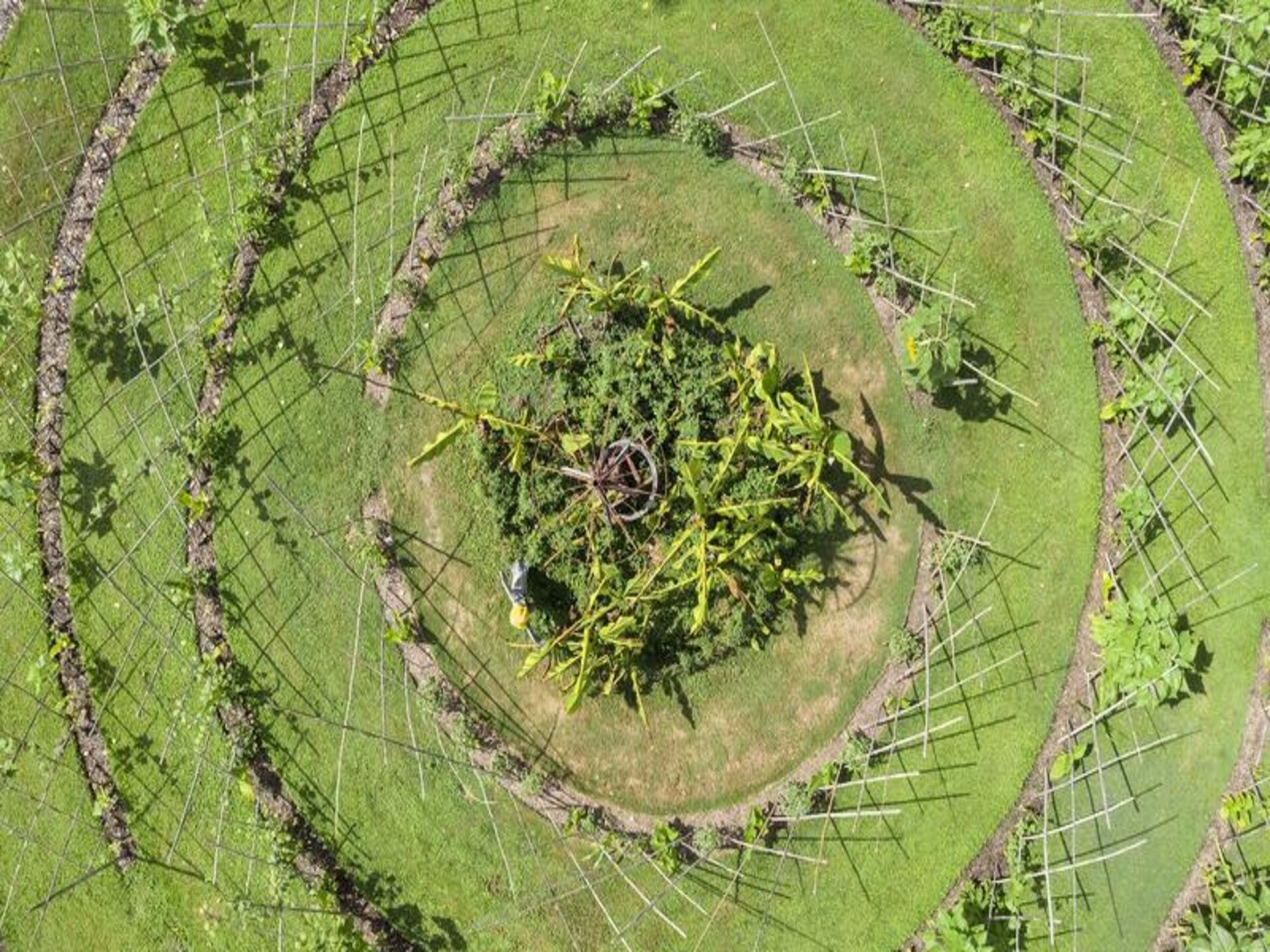Natuurslaperij in Magné: Familiehut voor 5 personen op domein van 12 hectare - foto 2