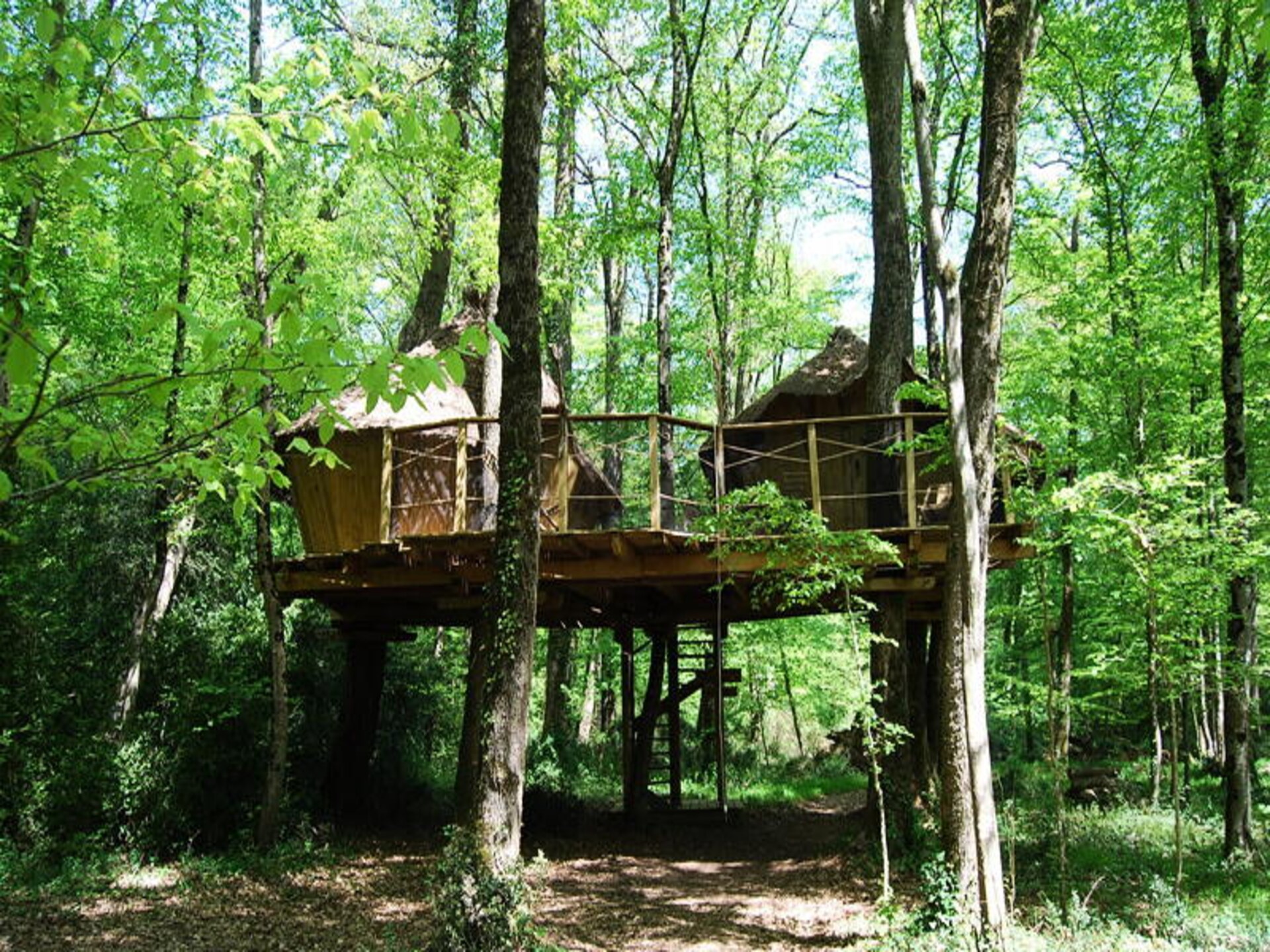 Natuurslaperij in Magné: Familiehut voor 5 personen op domein van 12 hectare - foto 13