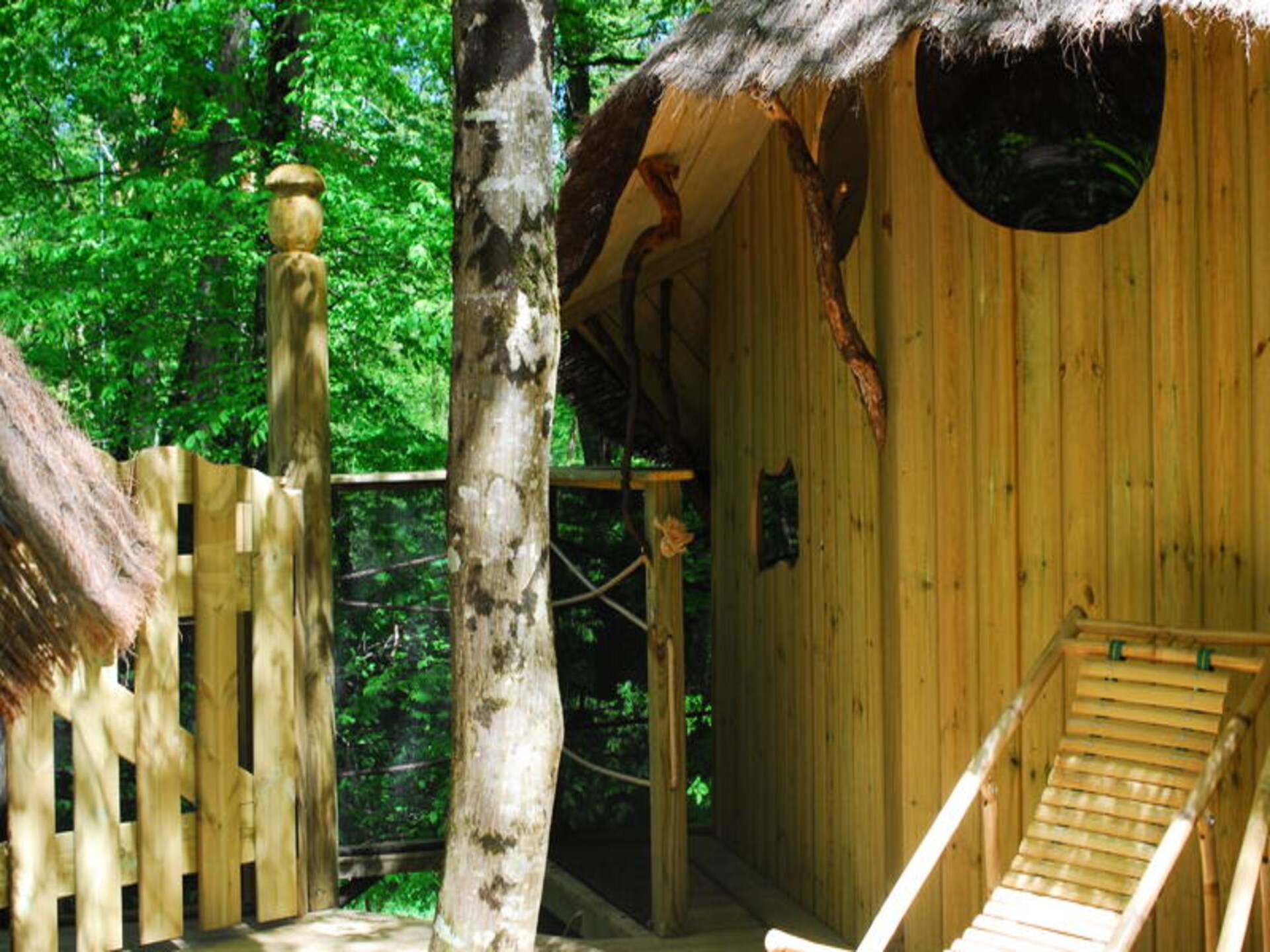 Natuurslaperij in Magné: Familiehut voor 5 personen op domein van 12 hectare - foto 14