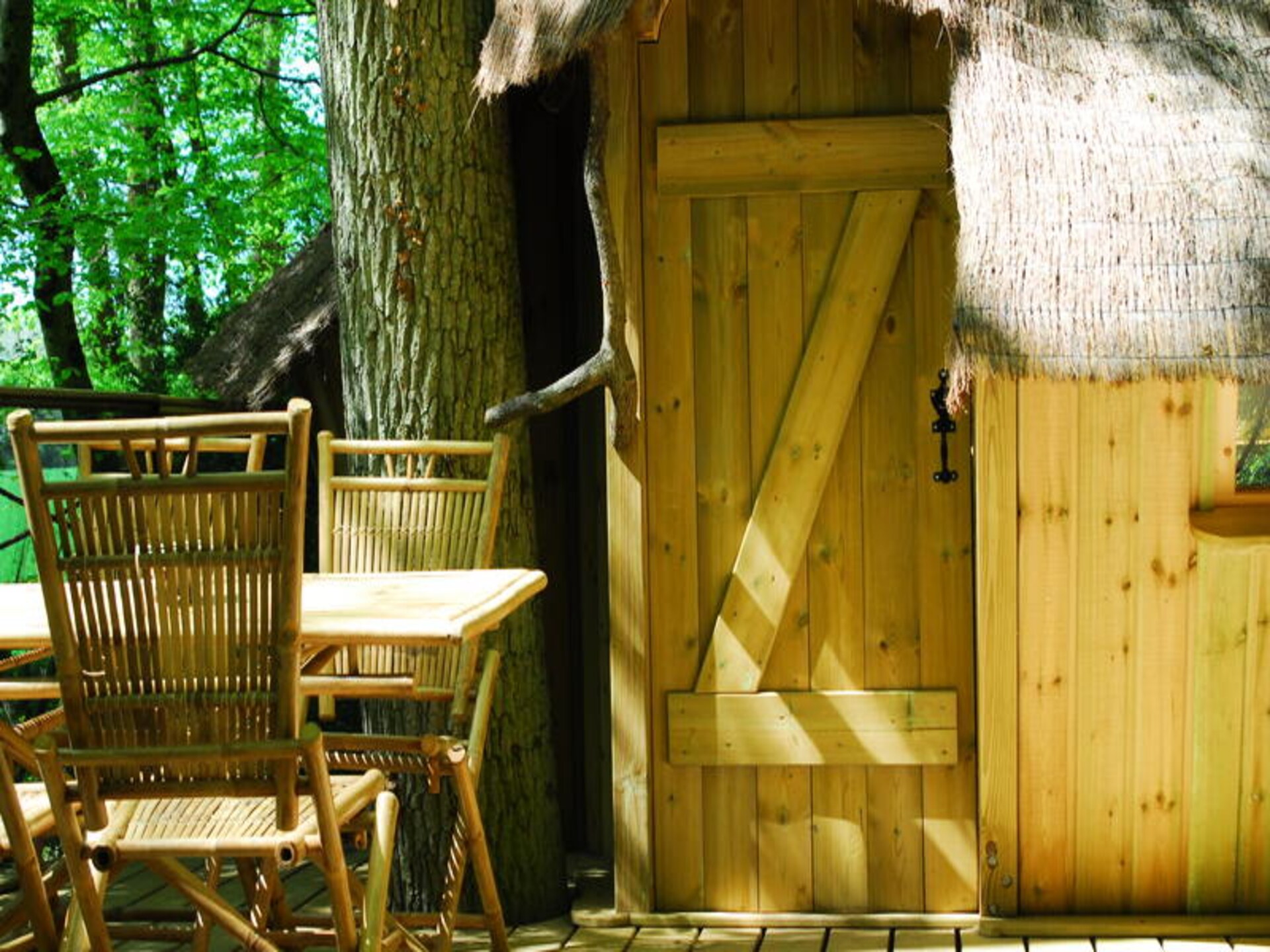 Natuurslaperij in Magné: Familiehut voor 5 personen op domein van 12 hectare - foto 18