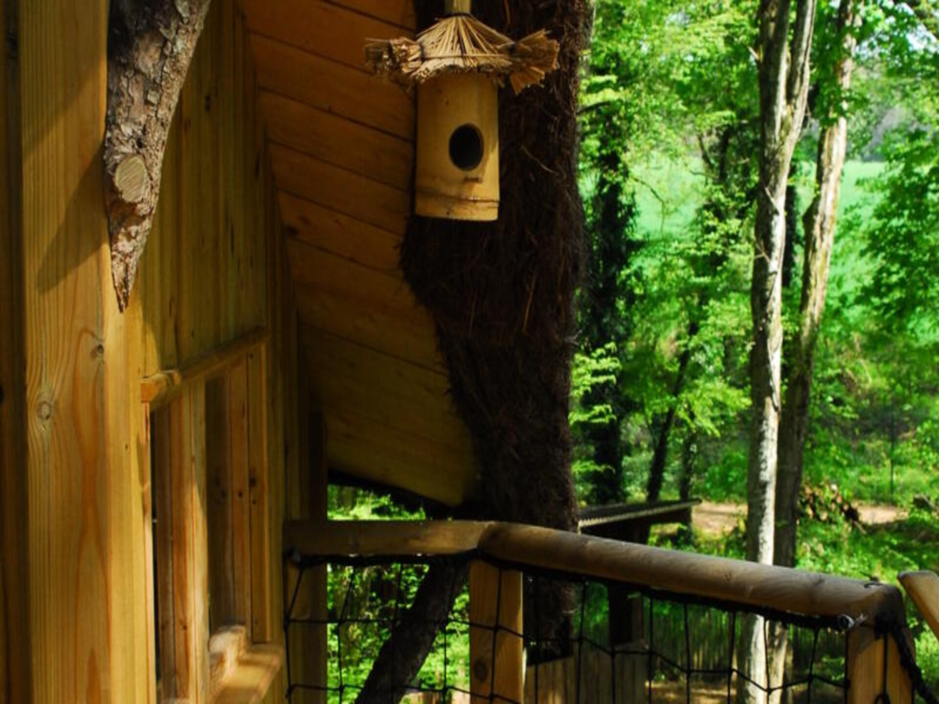 Natuuravontuur in Magné: Familie-appartement op 12 hectare groen - foto 14