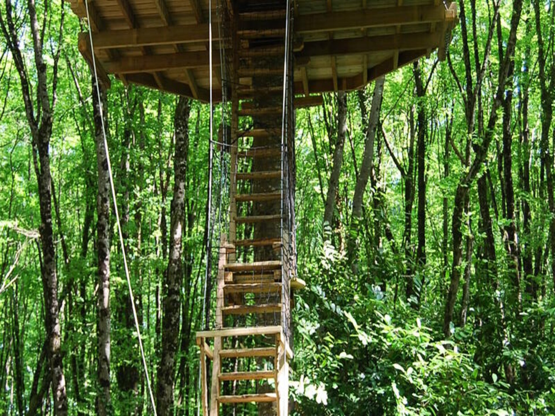 Knus appartement in Magné op 12 hectare natuur bij Parc de la Belle - foto 13