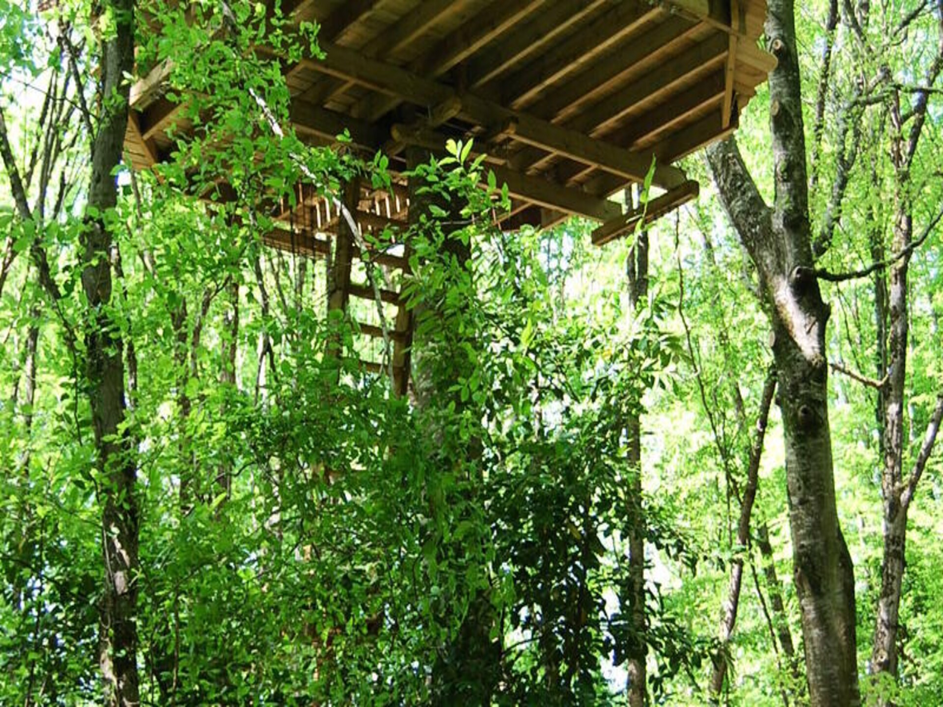 Knus appartement in Magné op 12 hectare natuur bij Parc de la Belle - foto 19