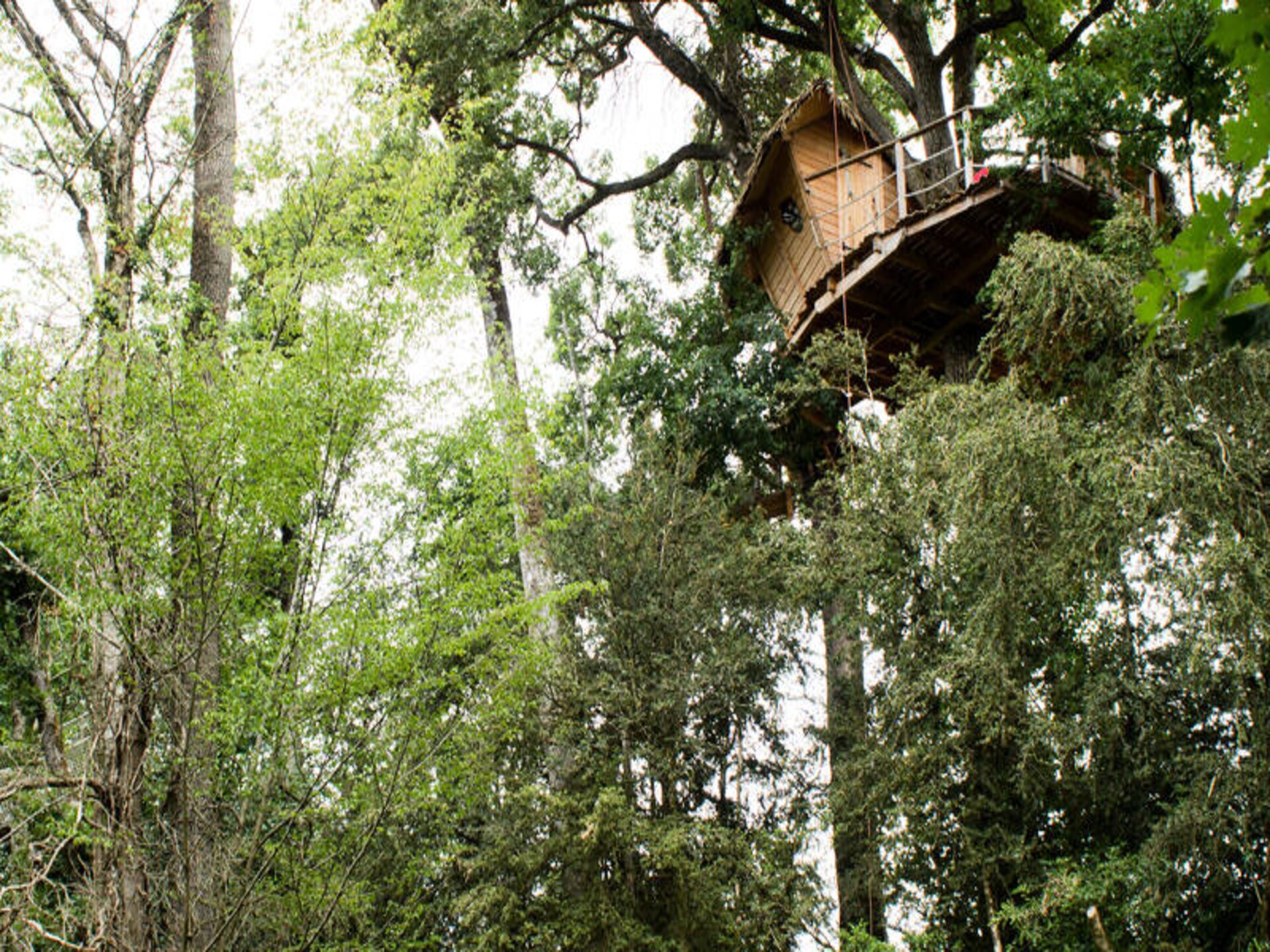 Knus appartement in 12 hectare natuur bij Magné, Vienne - foto 18