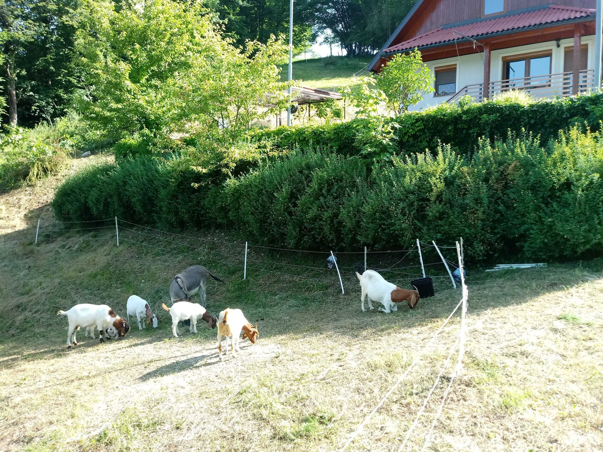 Vrijstaand vakantiehuis met sauna en BBQ aan de rivier bij Slap ob Idrijci - foto 44