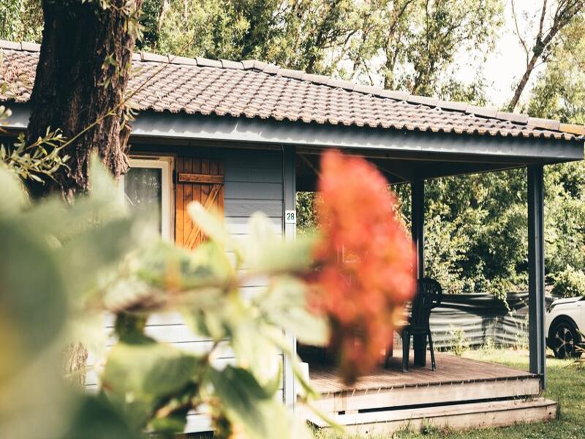 Ruim appartement voor 4 op Oléron met zwembad, vlakbij de Atlantische Oceaan - foto 11