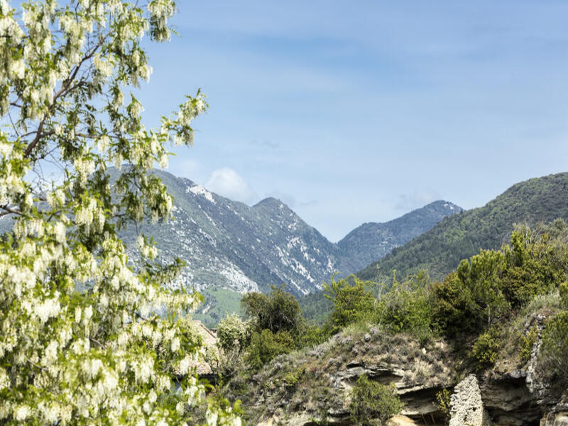 Ruim duplex appartement voor 6 aan de voet van de Mont Ventoux - foto 21