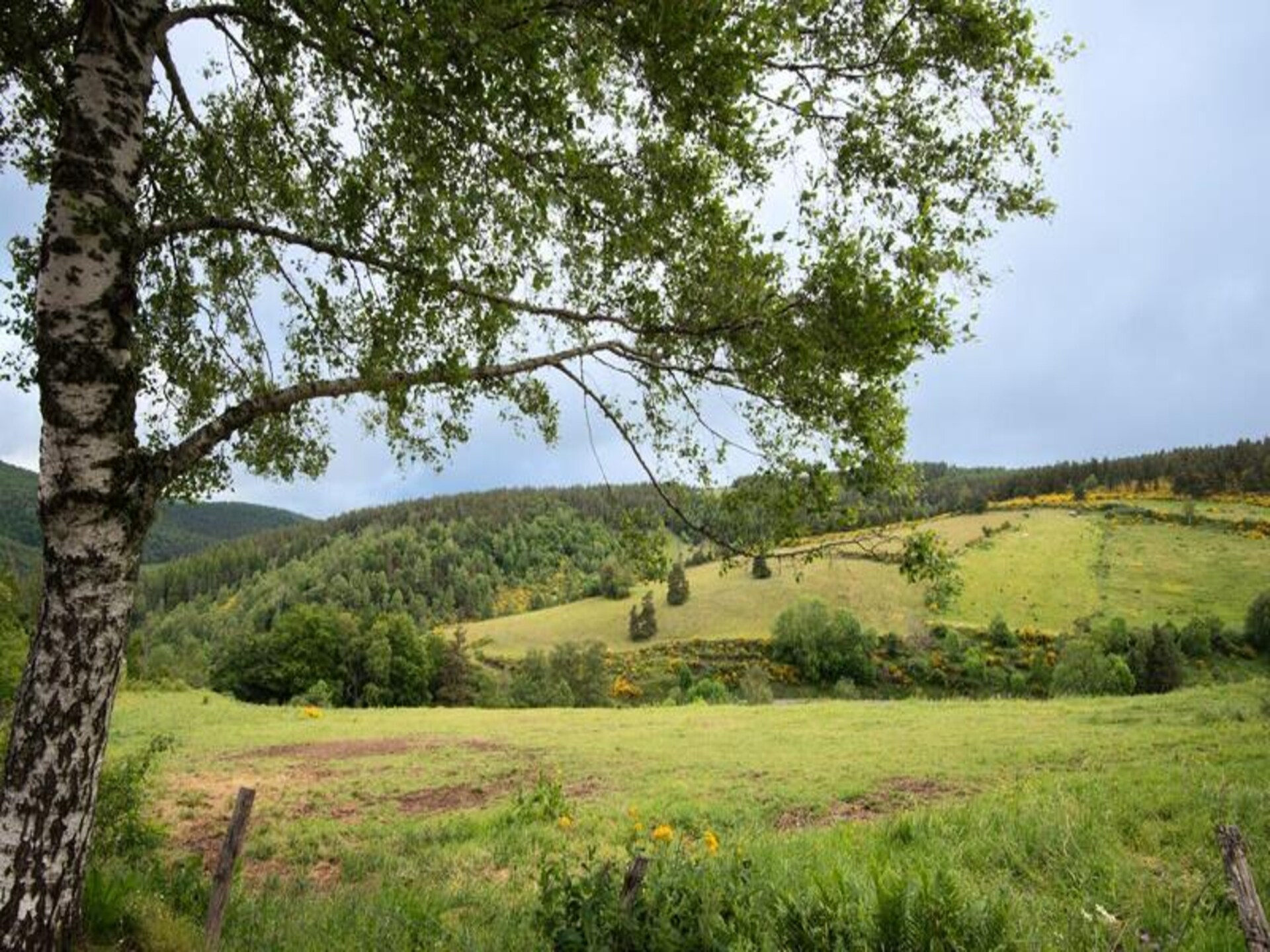 Rustiek appartement op de Mont Lozère voor 5 personen met tuin - foto 27