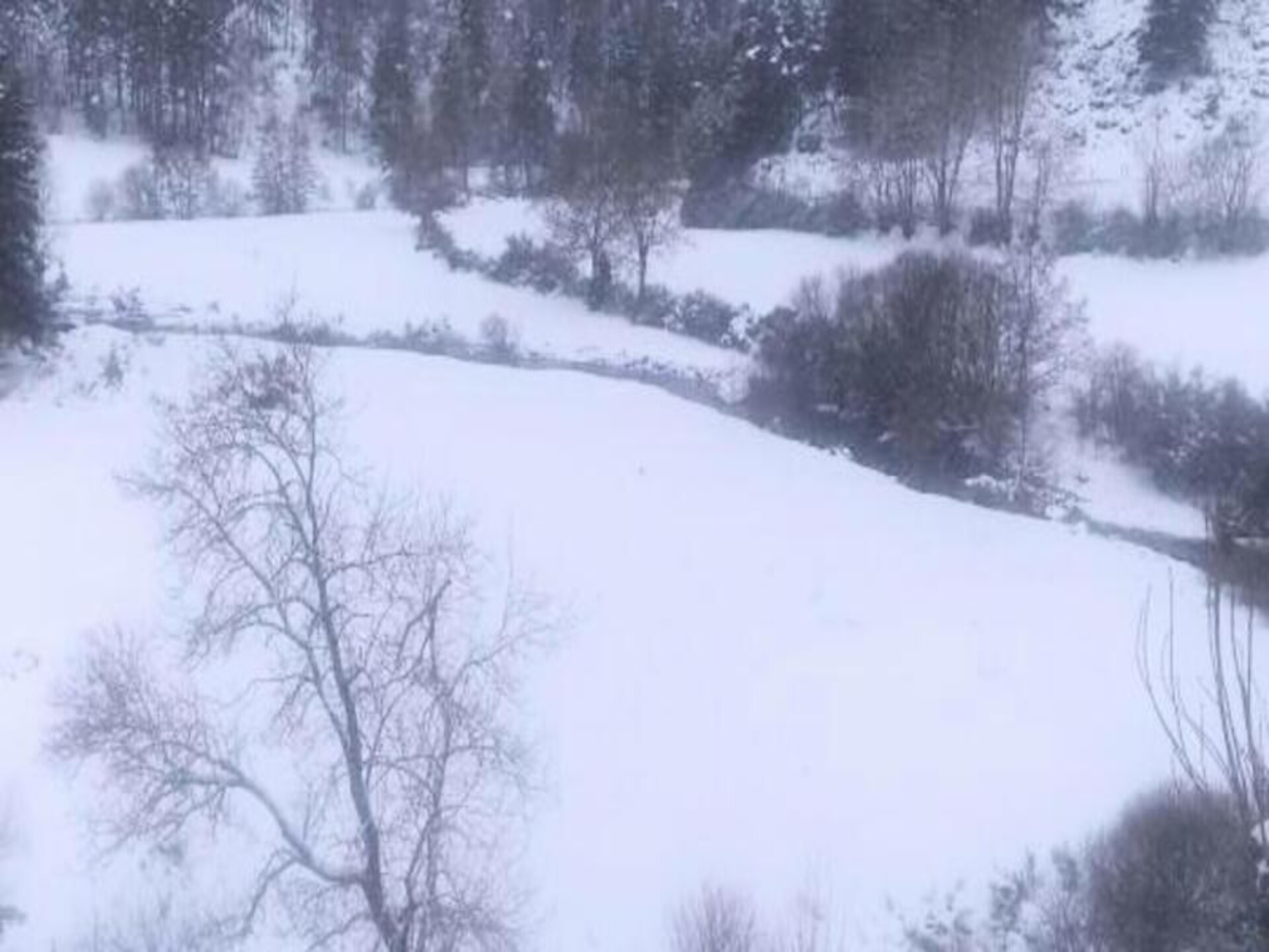 Lou Vachou: Ruim appartement aan de rivier in Rimeize, nabij Aubrac - foto 29