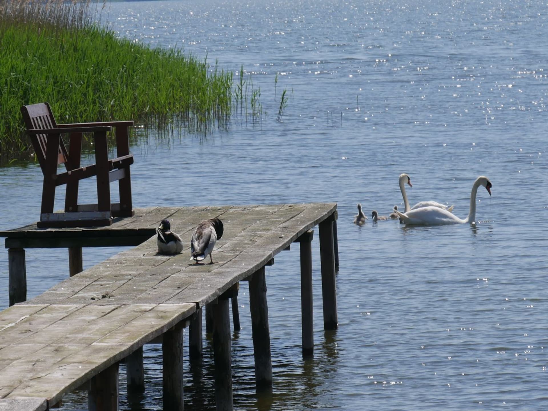 Sfeervolle woonboot aan de Kroesliner See voor 4 personen - foto 17