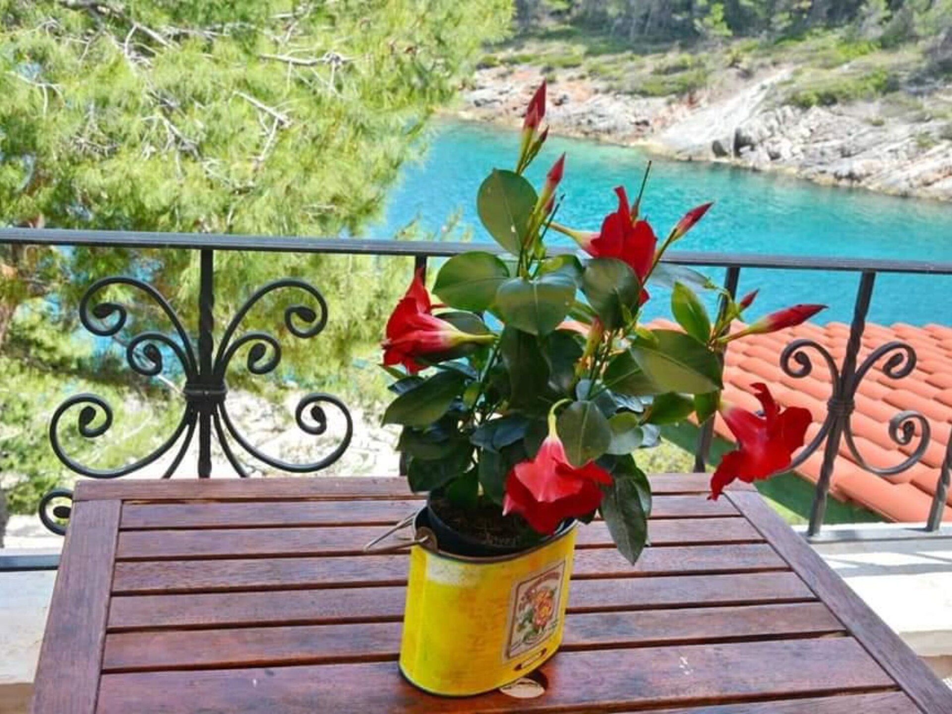 Appartement Smokva aan Zee in Vrboska – Rust & Comfort op Hvar - foto 20