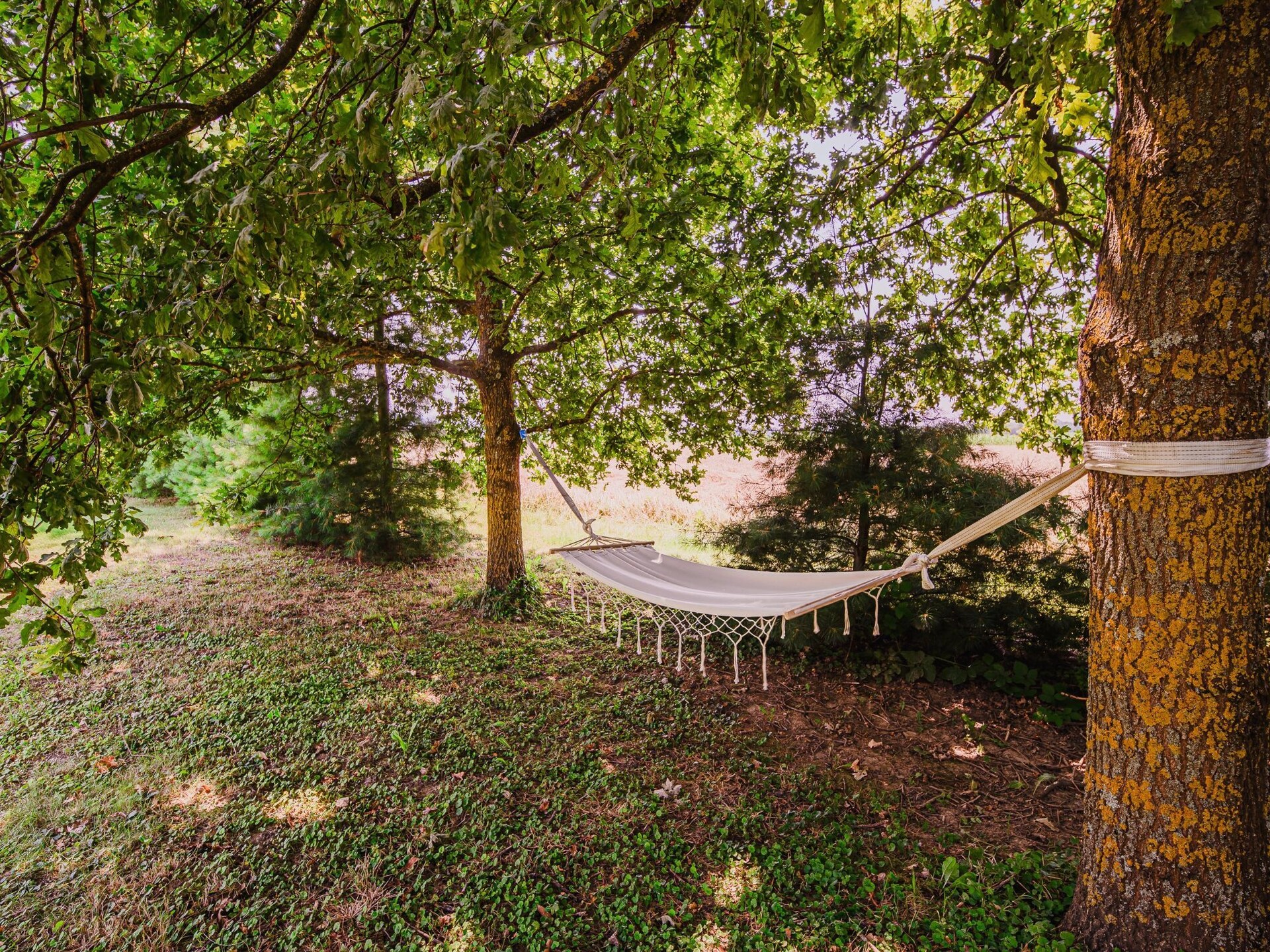 Ruim vakantiehuis in Bukošek met tuin, trampoline en BBQ voor 10 personen - foto 39