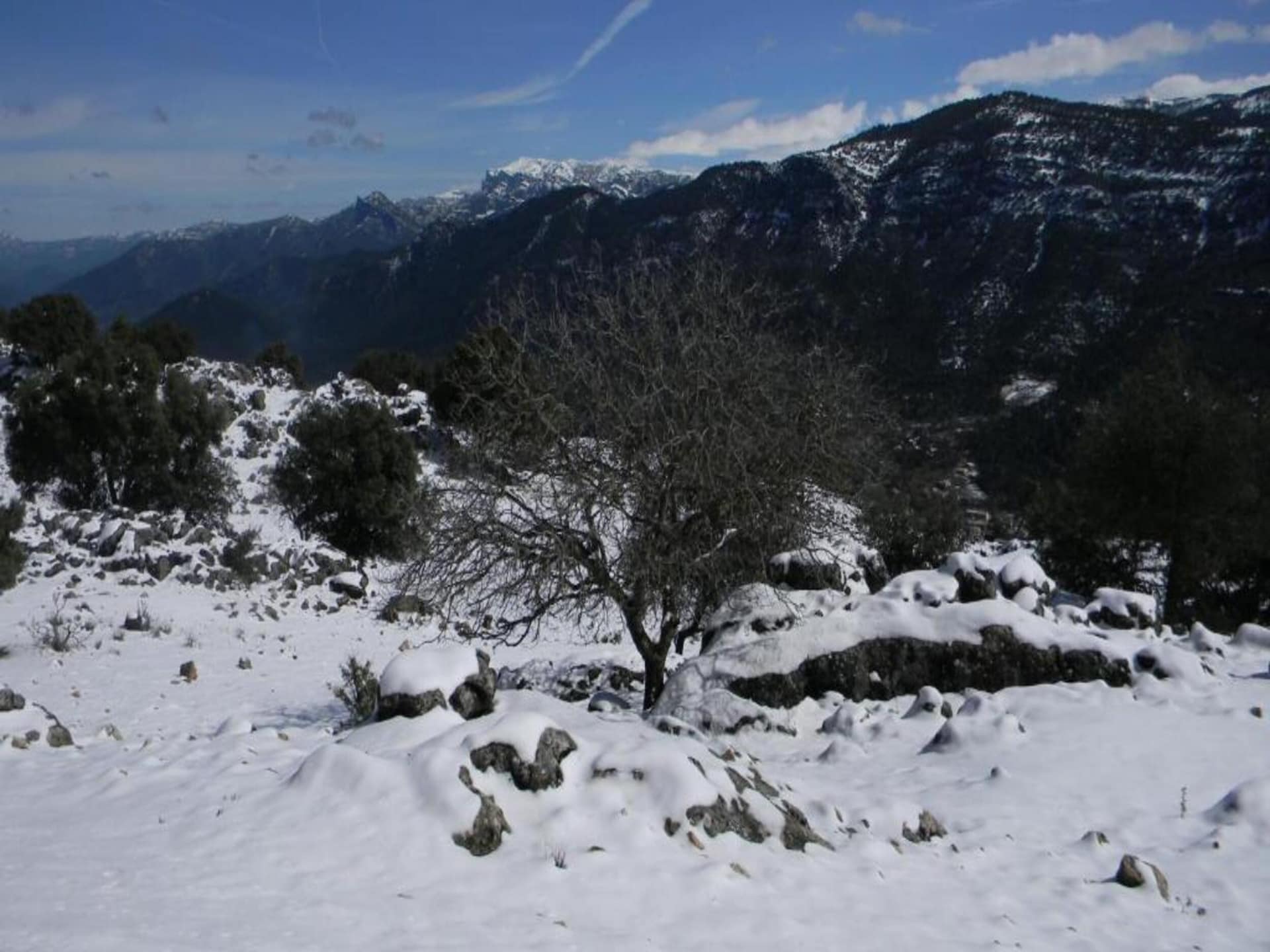 Vrijstaand vakantiehuis voor 15 personen in natuurpark Sierras Subbéticas - foto 40