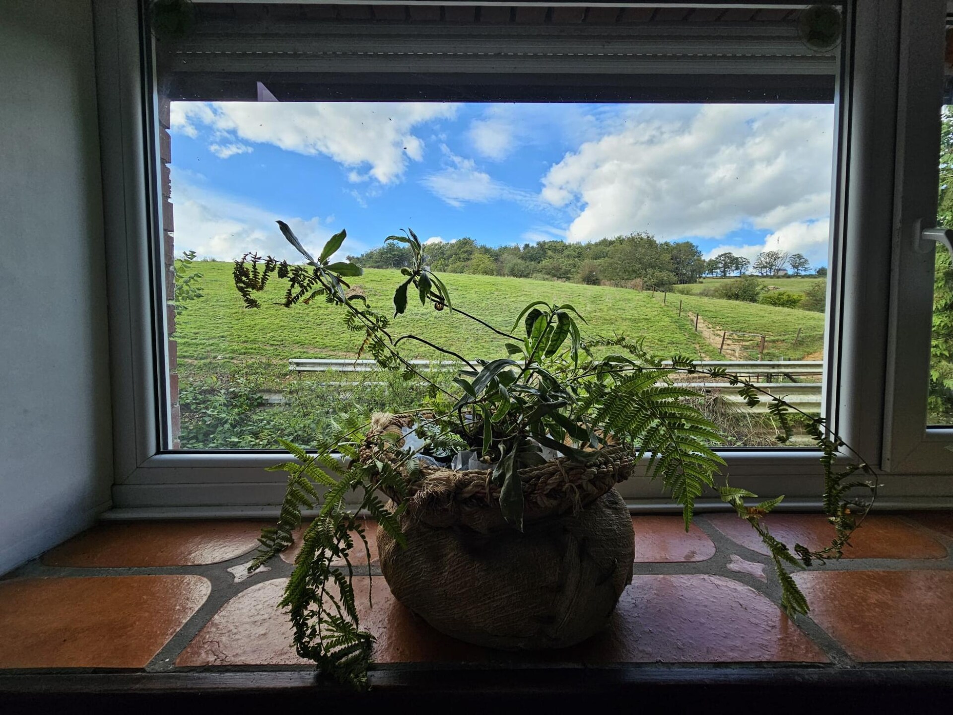 Rustiek vakantiehuis met omheinde tuin en privégarage in Hastière-Lavaux - foto 30