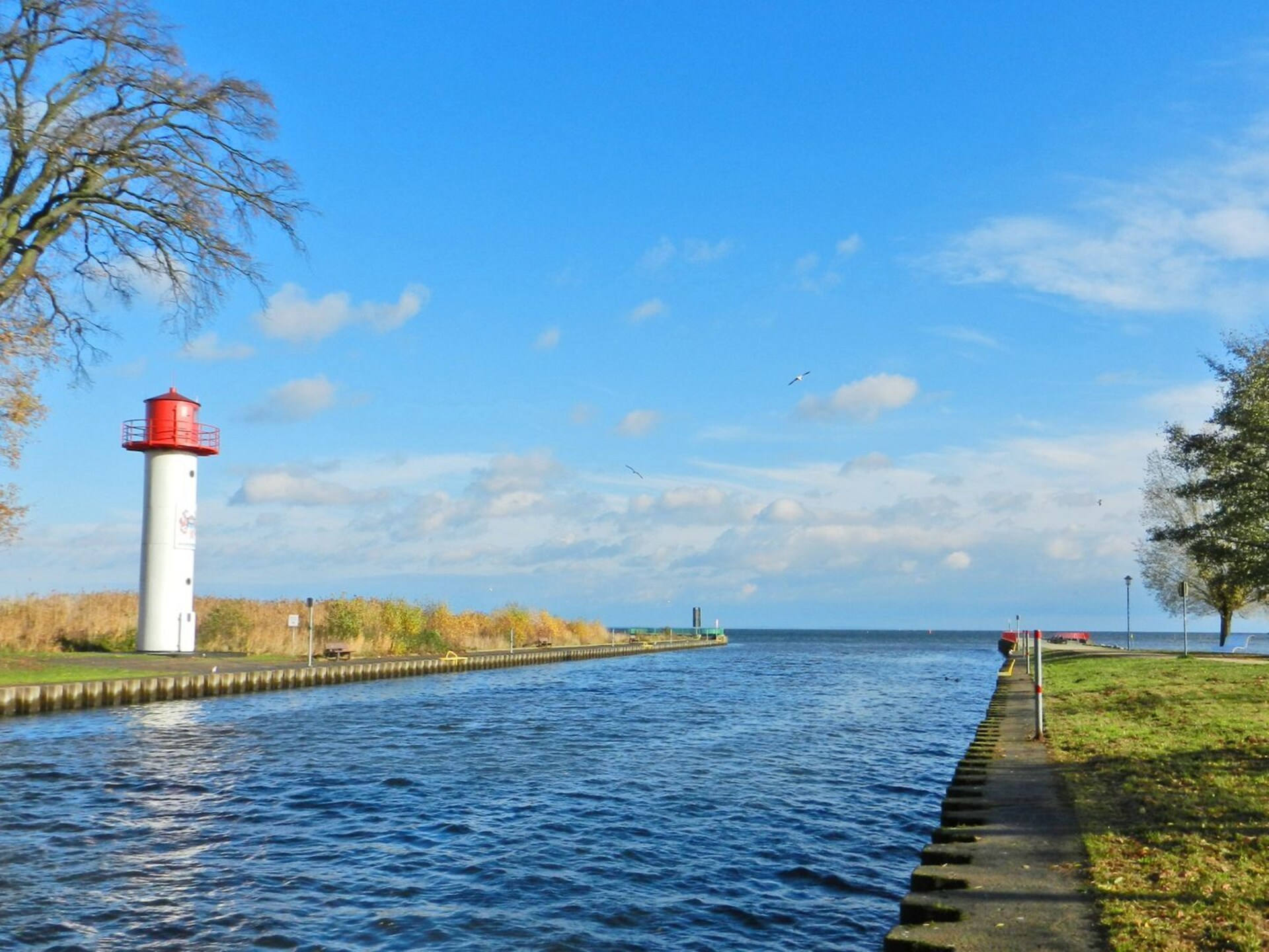 Woonboot Floating 44 Undine aan de Uecker – Uitzicht op water, dichtbij strand - foto 12