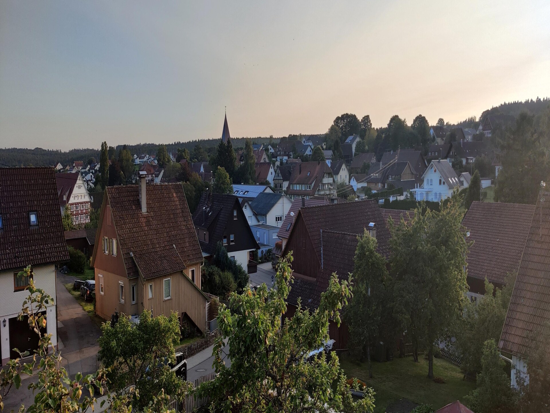 Rustiek appartement aan de bosrand nabij Neuweiler met balkon en uitzicht - foto 17