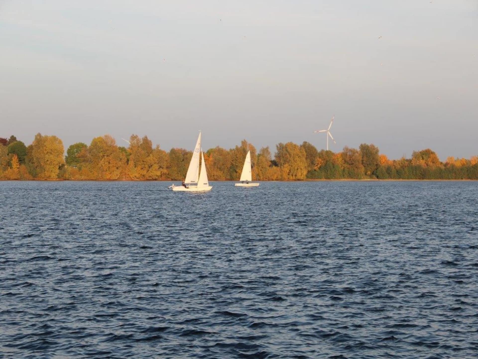 Unieke woonboot voor 2 personen in het merenlandschap van Xanten (2) - foto 6
