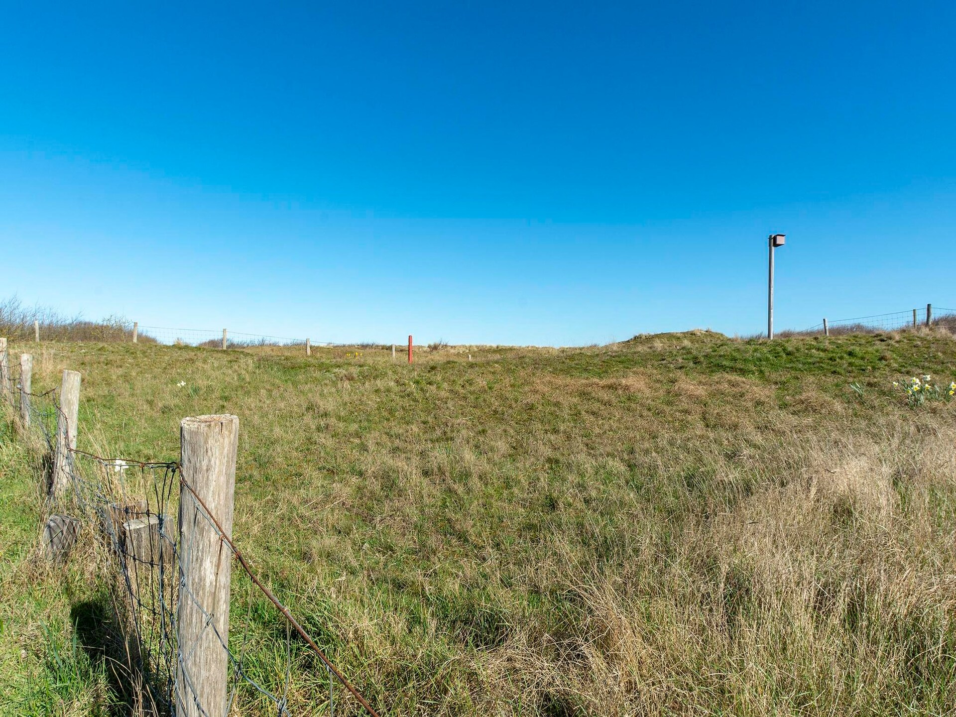 Strandhuis 't Koepeltje: intiem vakantiehuis op 700m van zee - foto 15