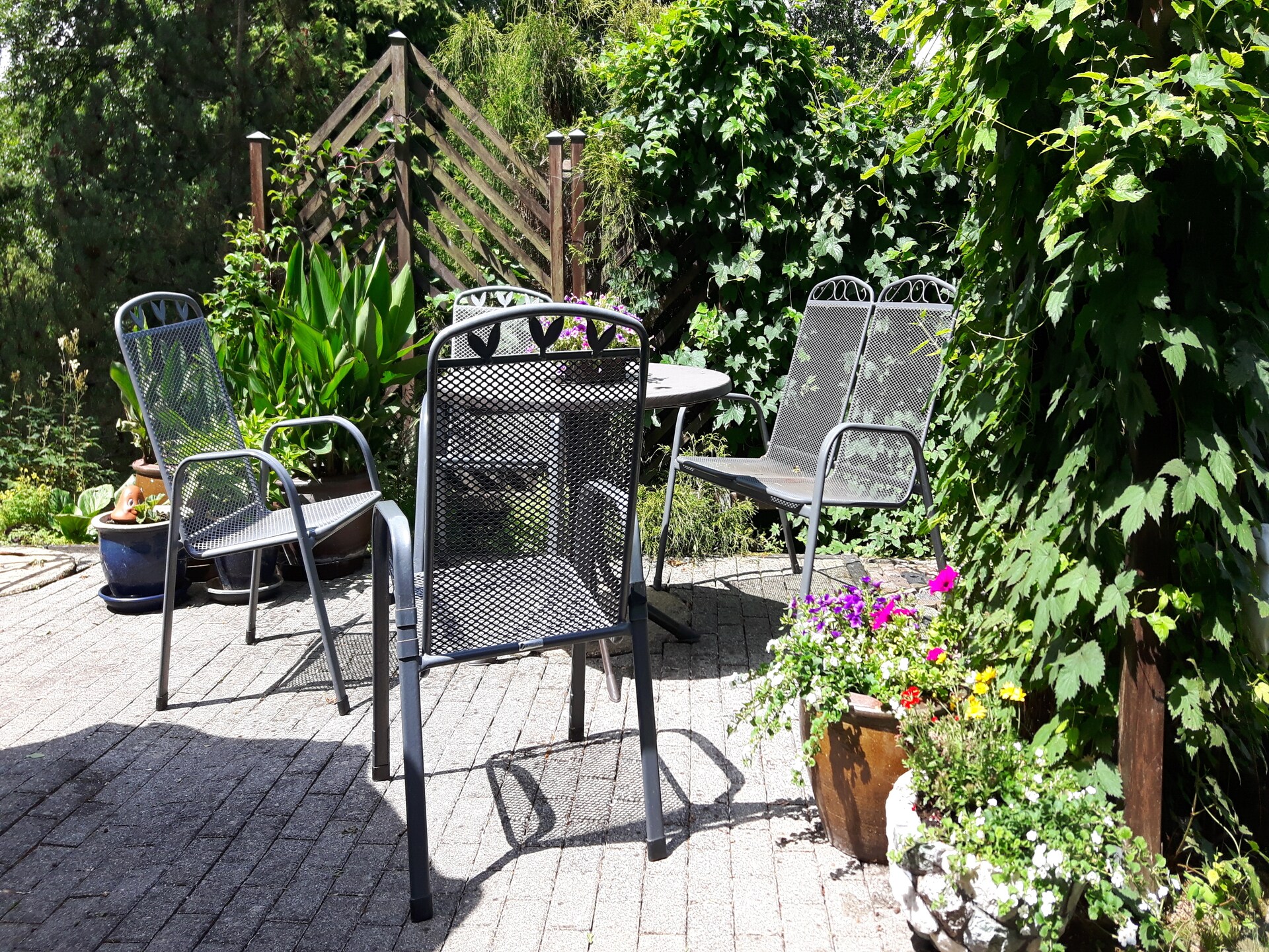 Ruim appartement aan de bosrand in Sellerich met grote tuin - foto 14