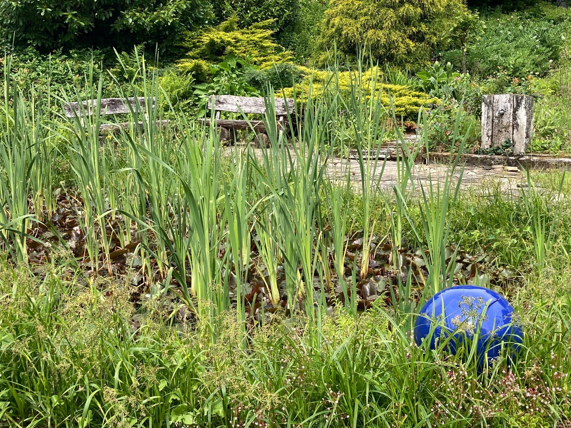 Ruim appartement aan de bosrand in Sellerich met grote tuin - foto 28