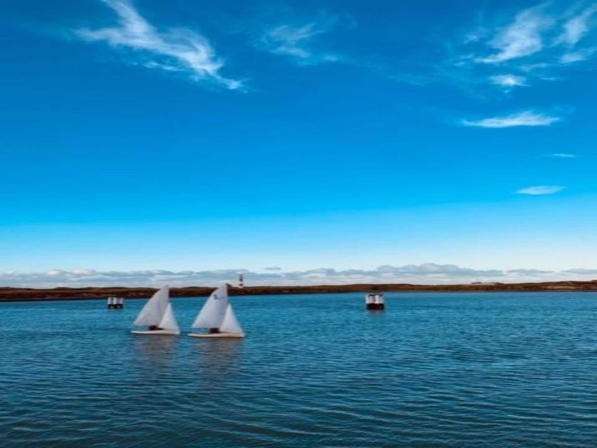 4-persoonsappartement met zonneterras in Nieuwpoort - foto 22