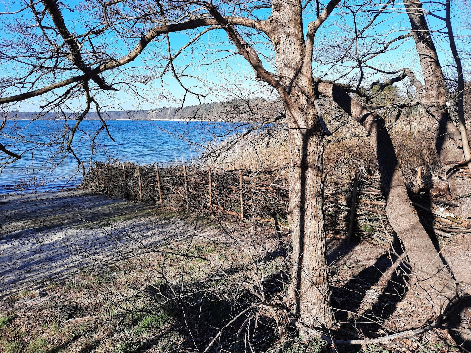 Op 300 m van het meer: Ruim luxe appartement in Strausberg - foto 40