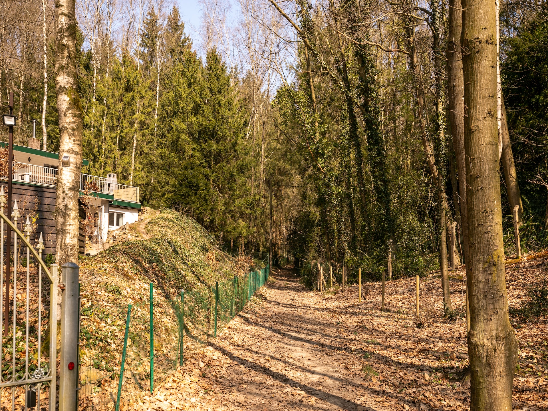 8-persoons boshuis met houtkachel in Lanklaar - foto 33