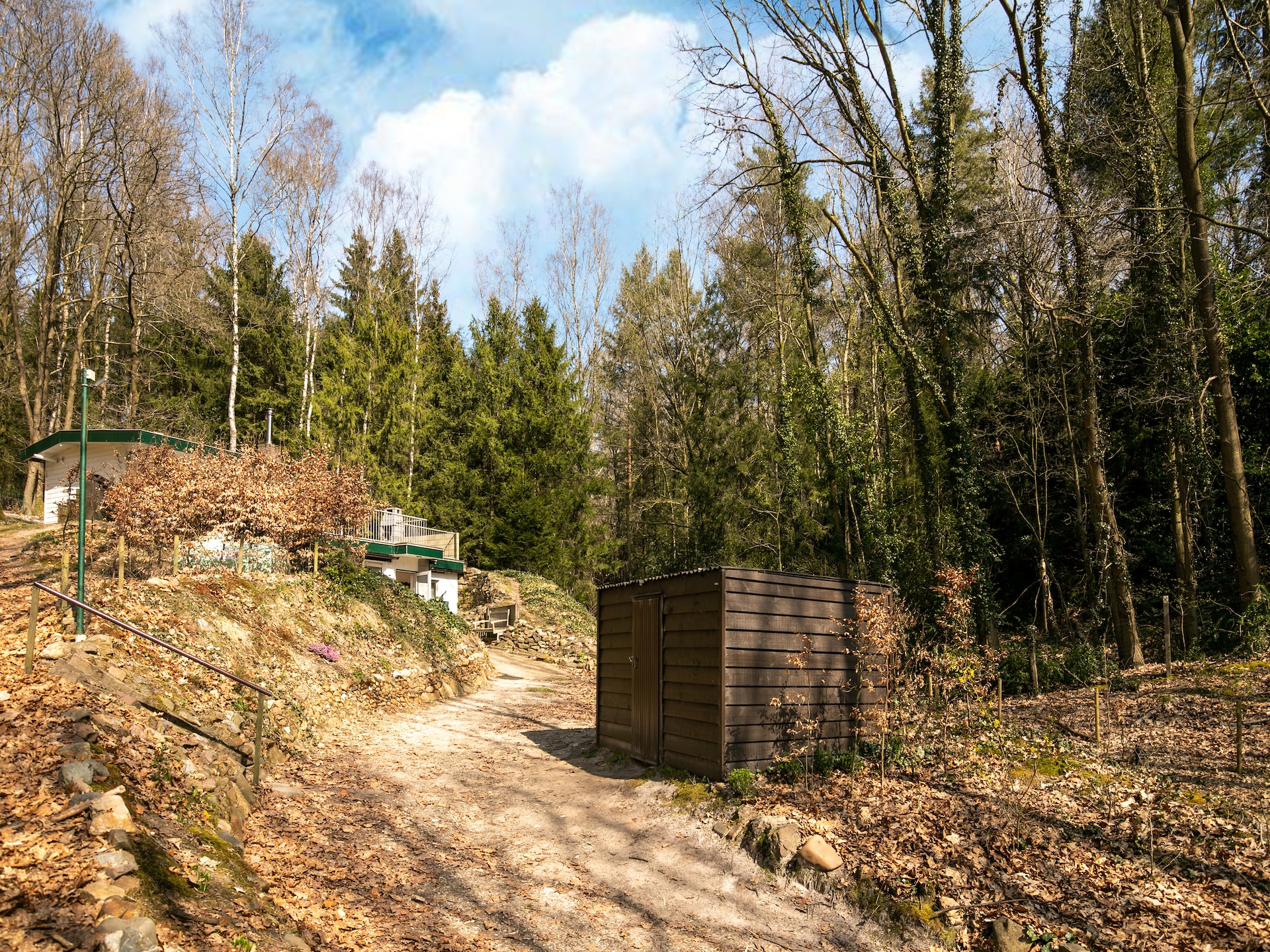 8-persoons boshuis met houtkachel in Lanklaar - foto 34